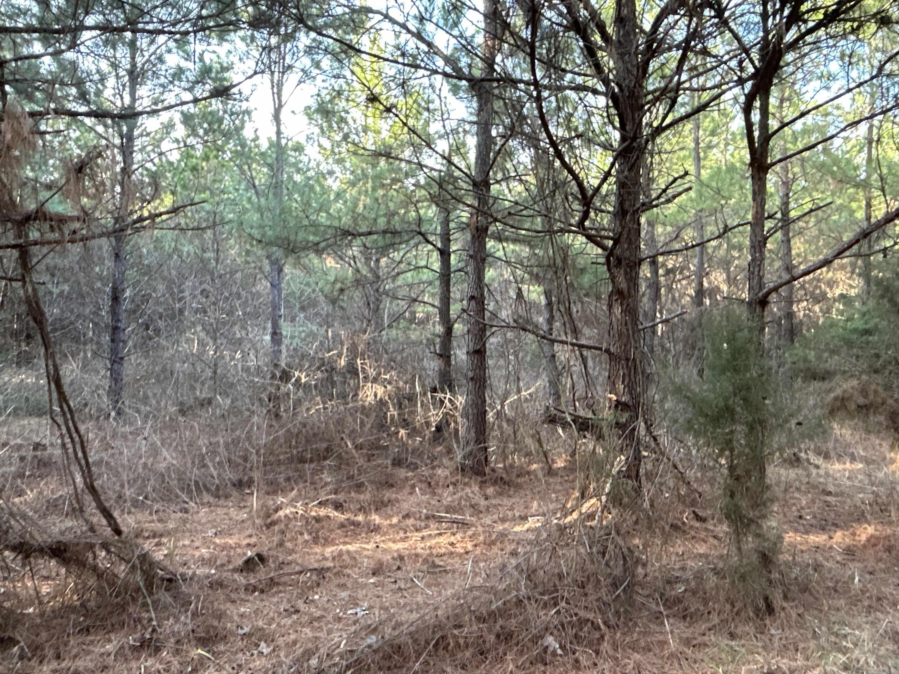 17-15-19  Frog Shack Rd  Stephens, AR