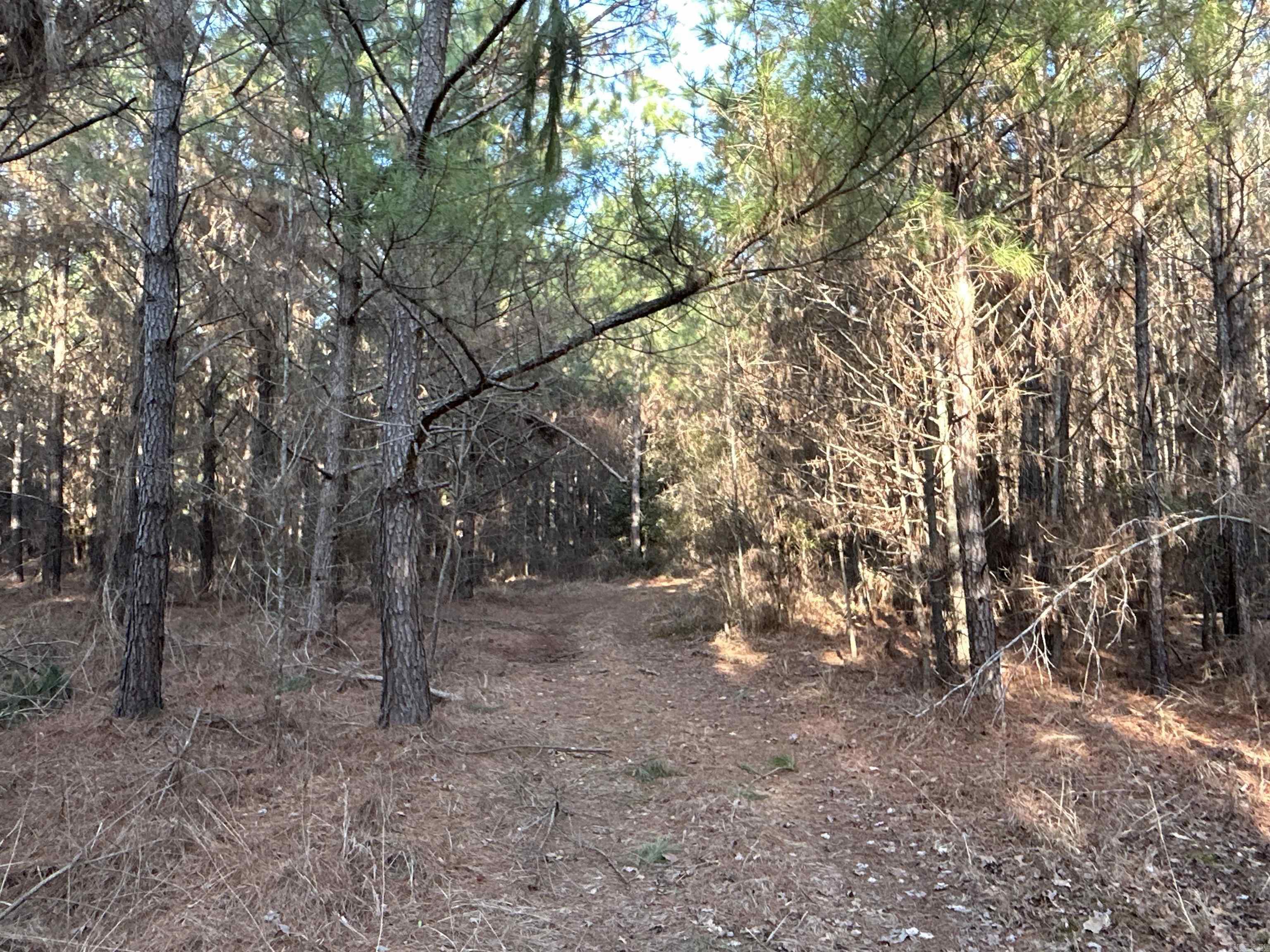 17-15-19  Frog Shack Rd  Stephens, AR
