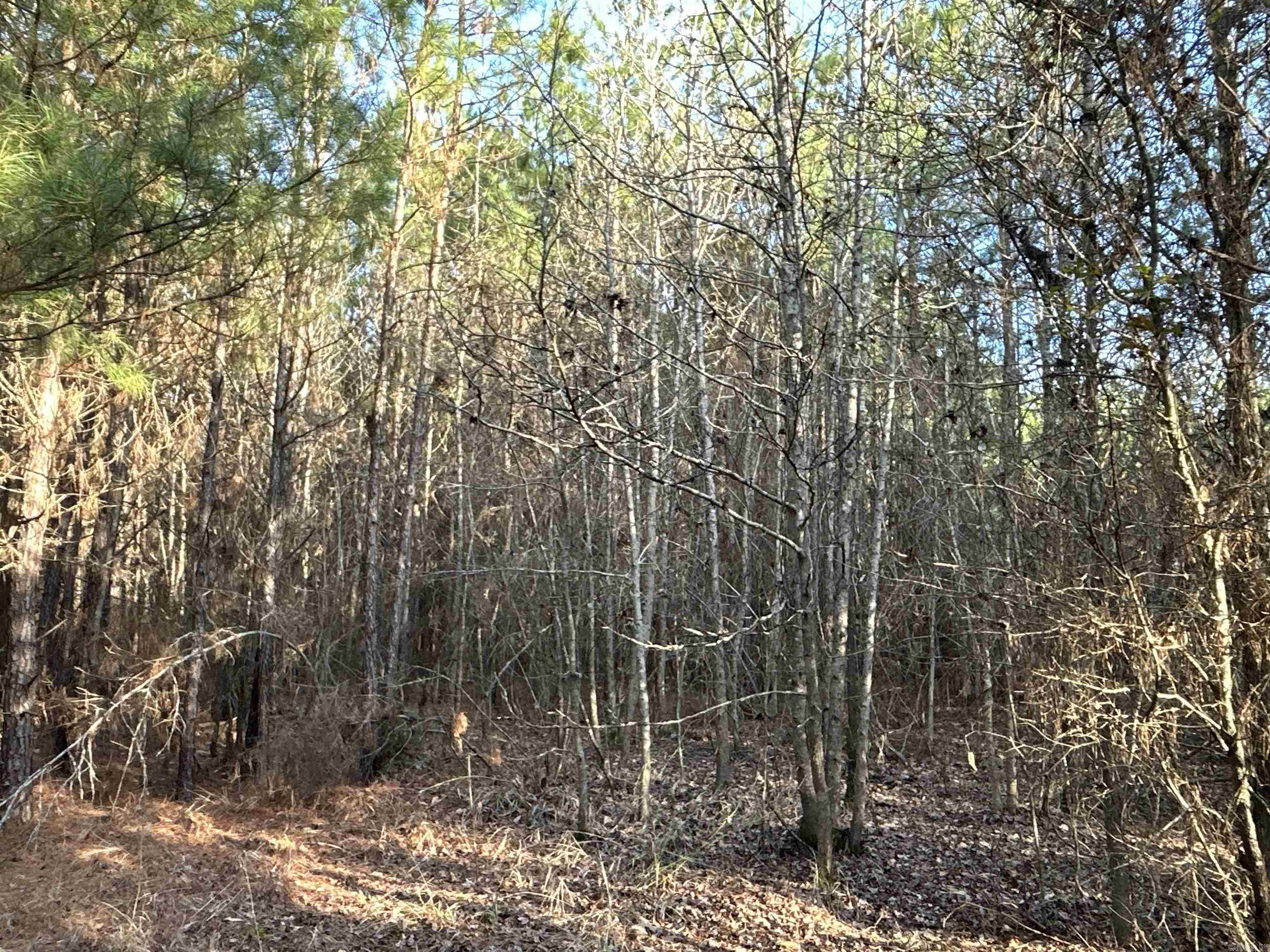 17-15-19  Frog Shack Rd  Stephens, AR