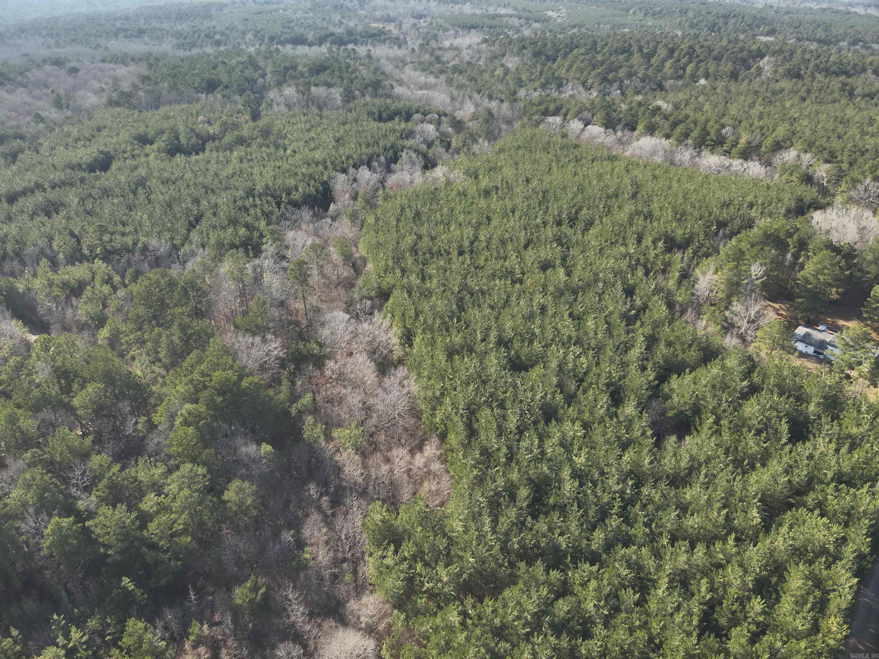 17-15-19  Frog Shack Rd  Stephens, AR