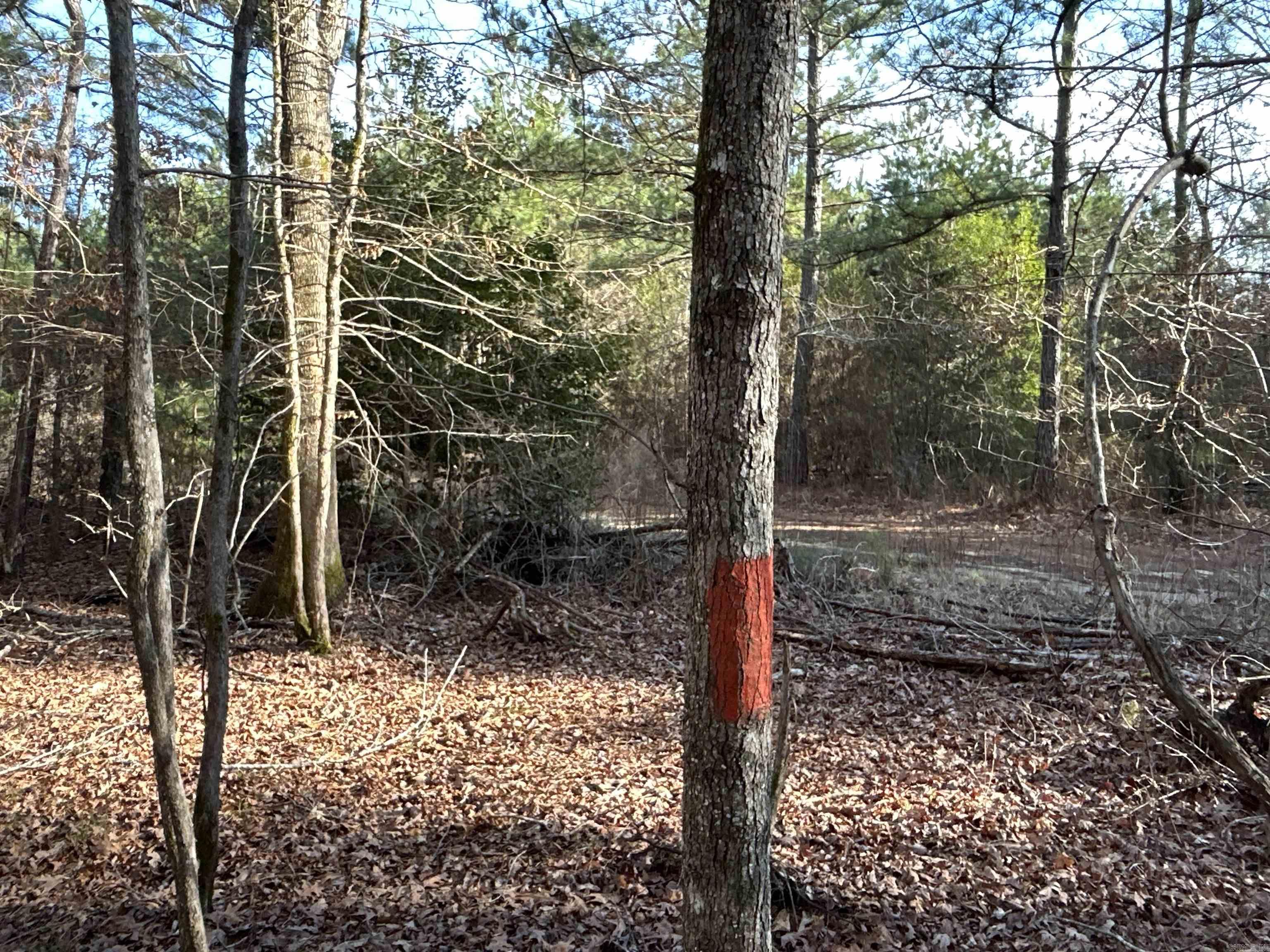 17-15-19  Frog Shack Rd  Stephens, AR