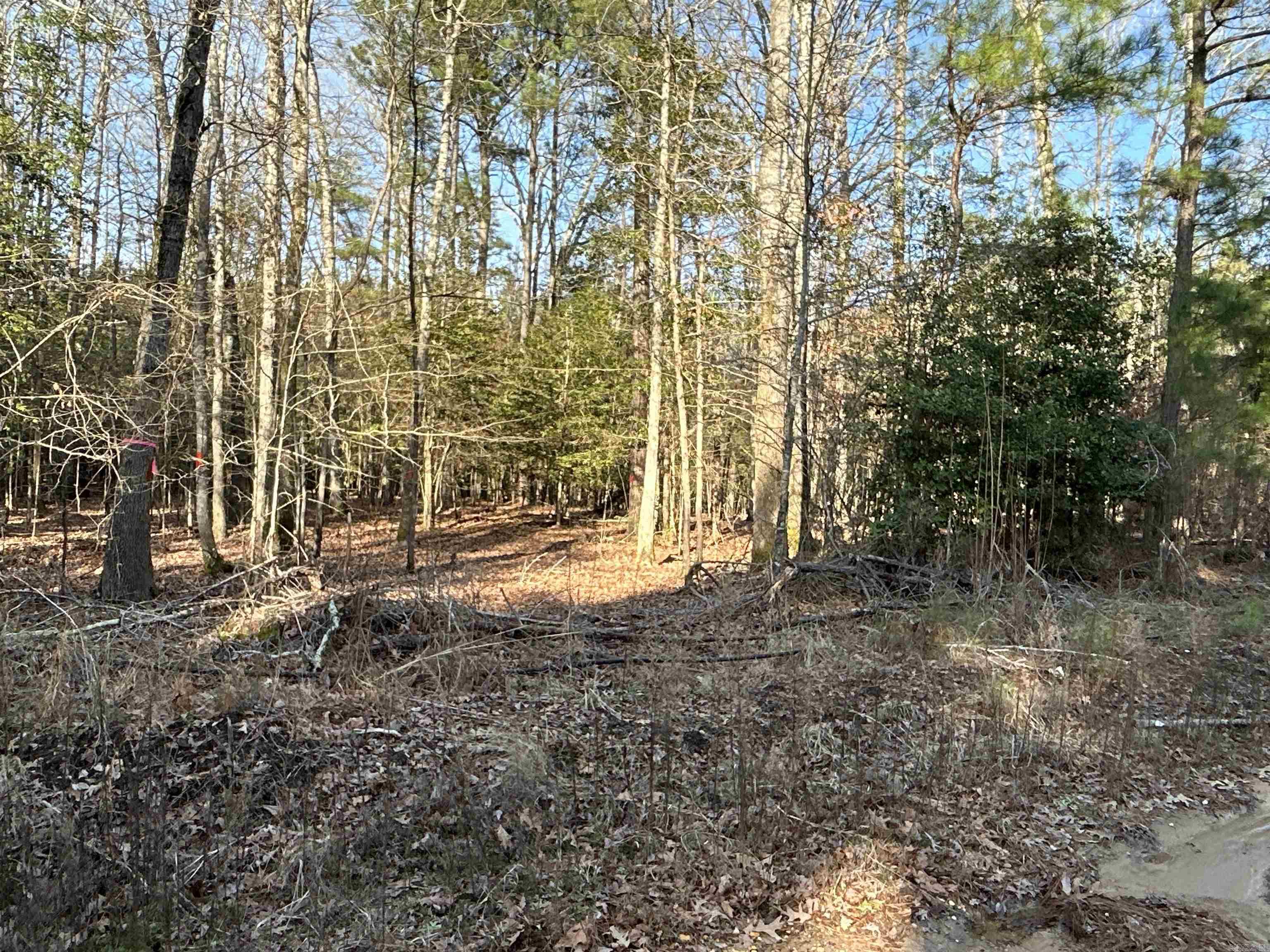 17-15-19  Frog Shack Rd  Stephens, AR