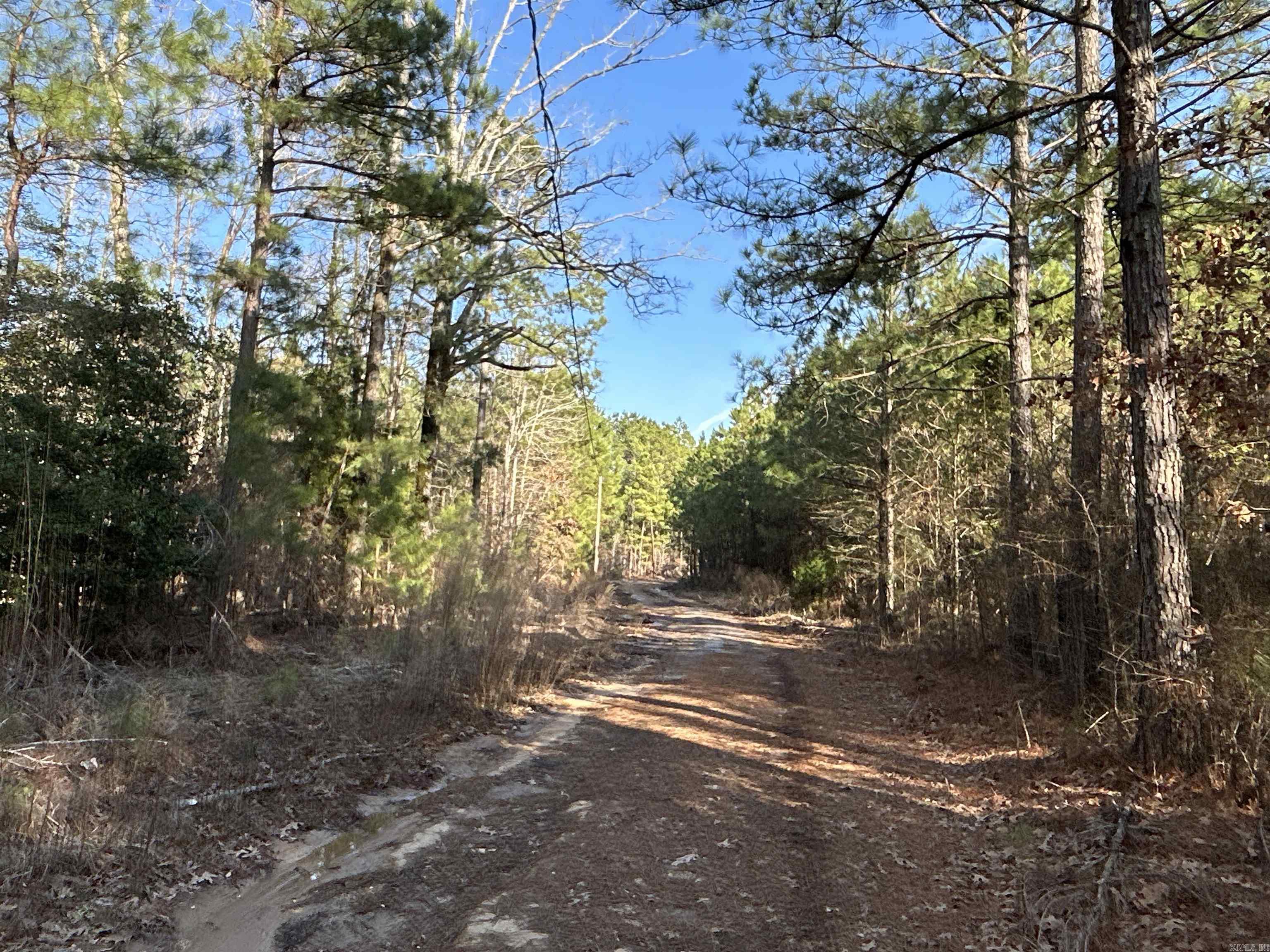 17-15-19  Frog Shack Rd  Stephens, AR