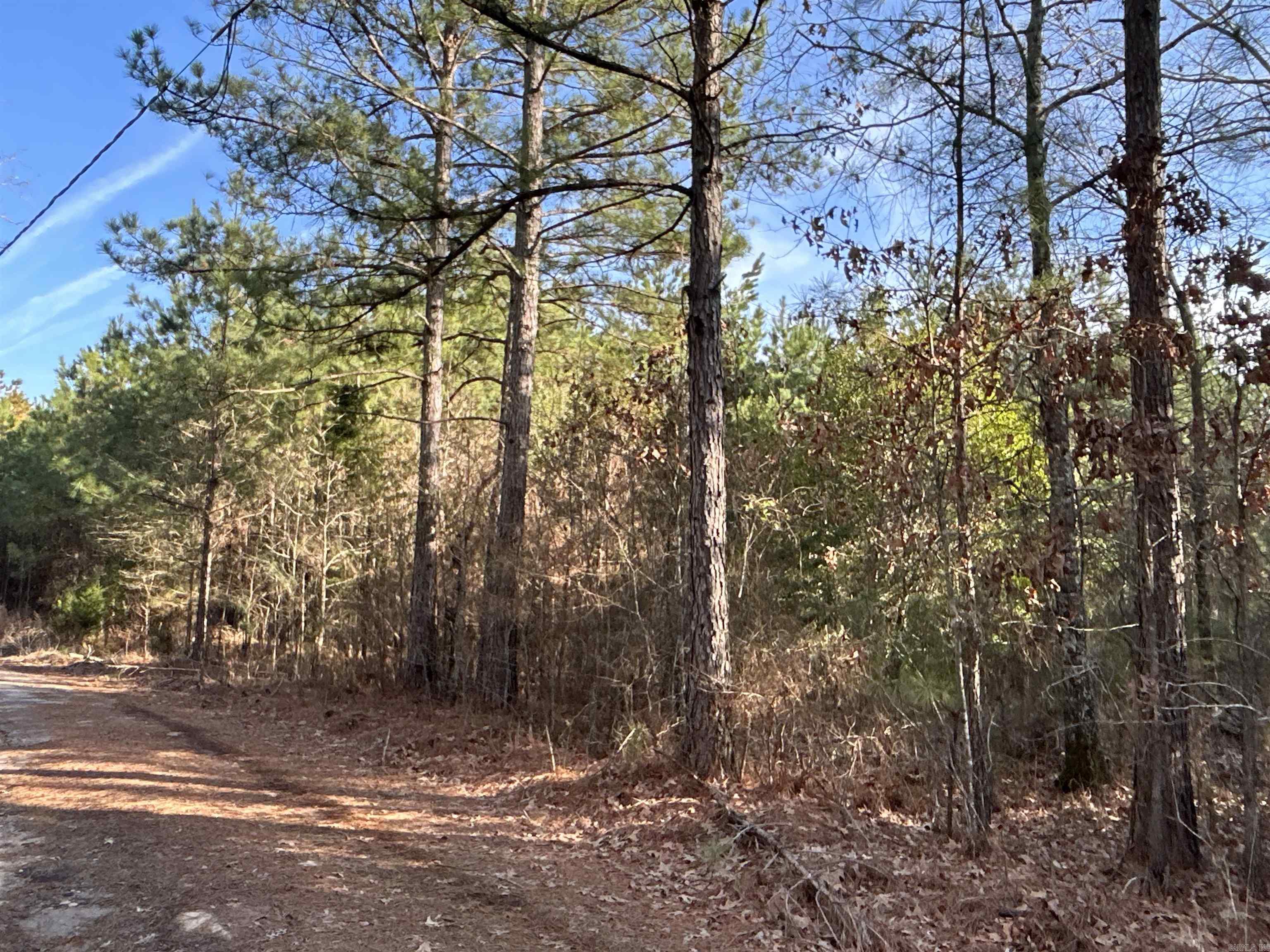 17-15-19  Frog Shack Rd  Stephens, AR