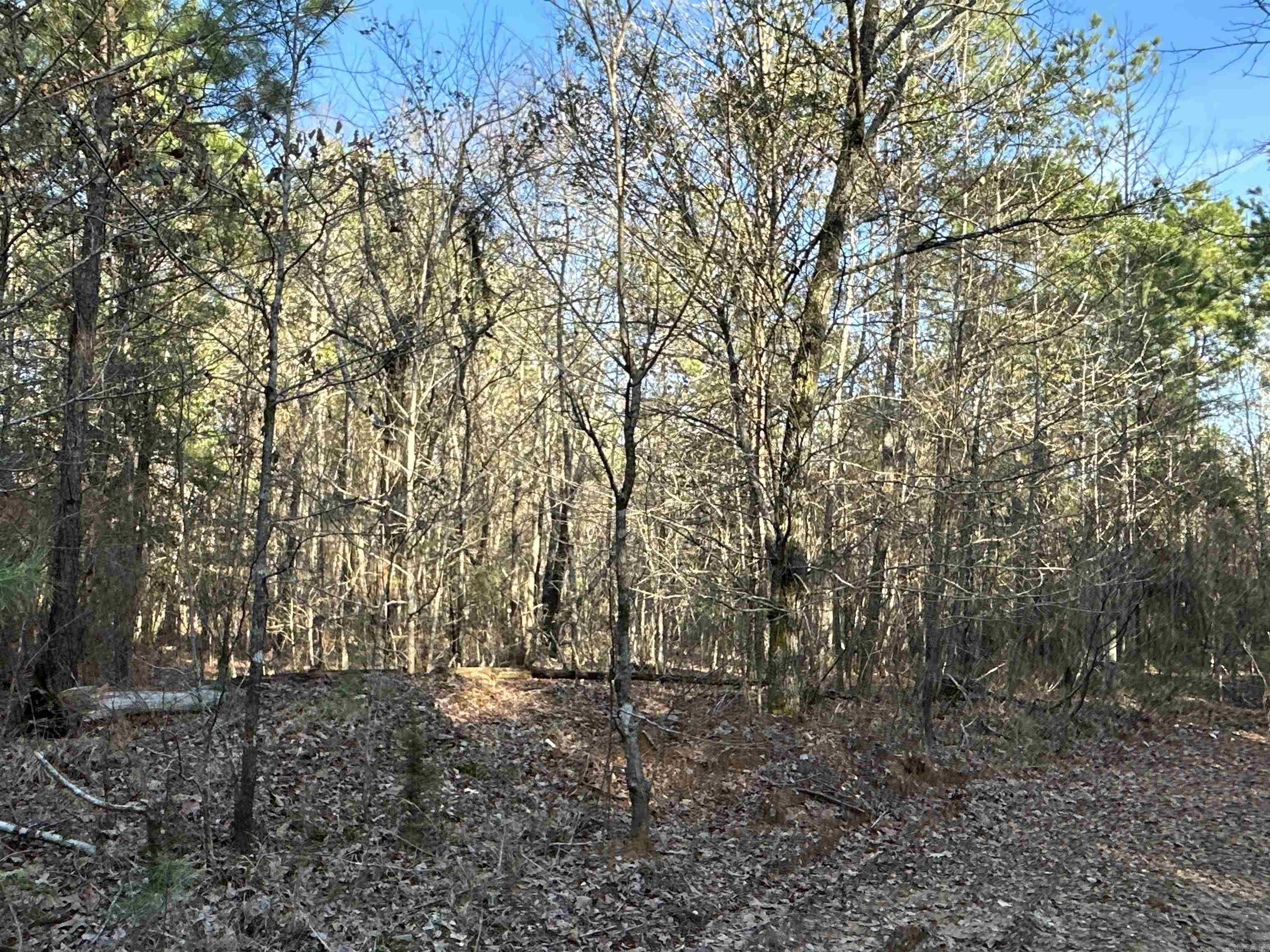 17-15-19  Frog Shack Rd  Stephens, AR