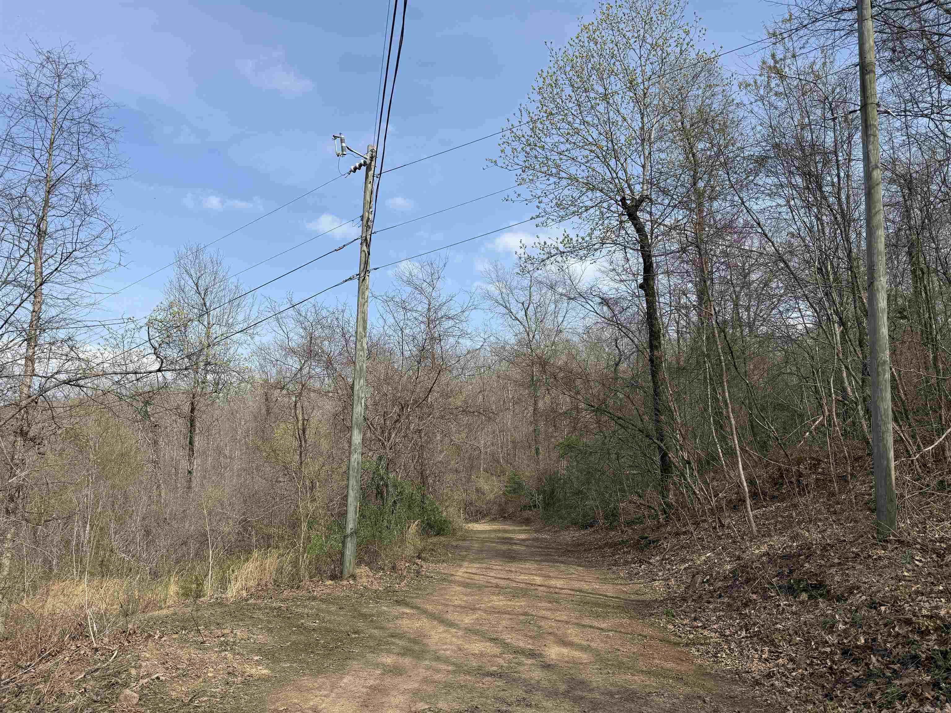 150  Woopsie  Leslie, AR