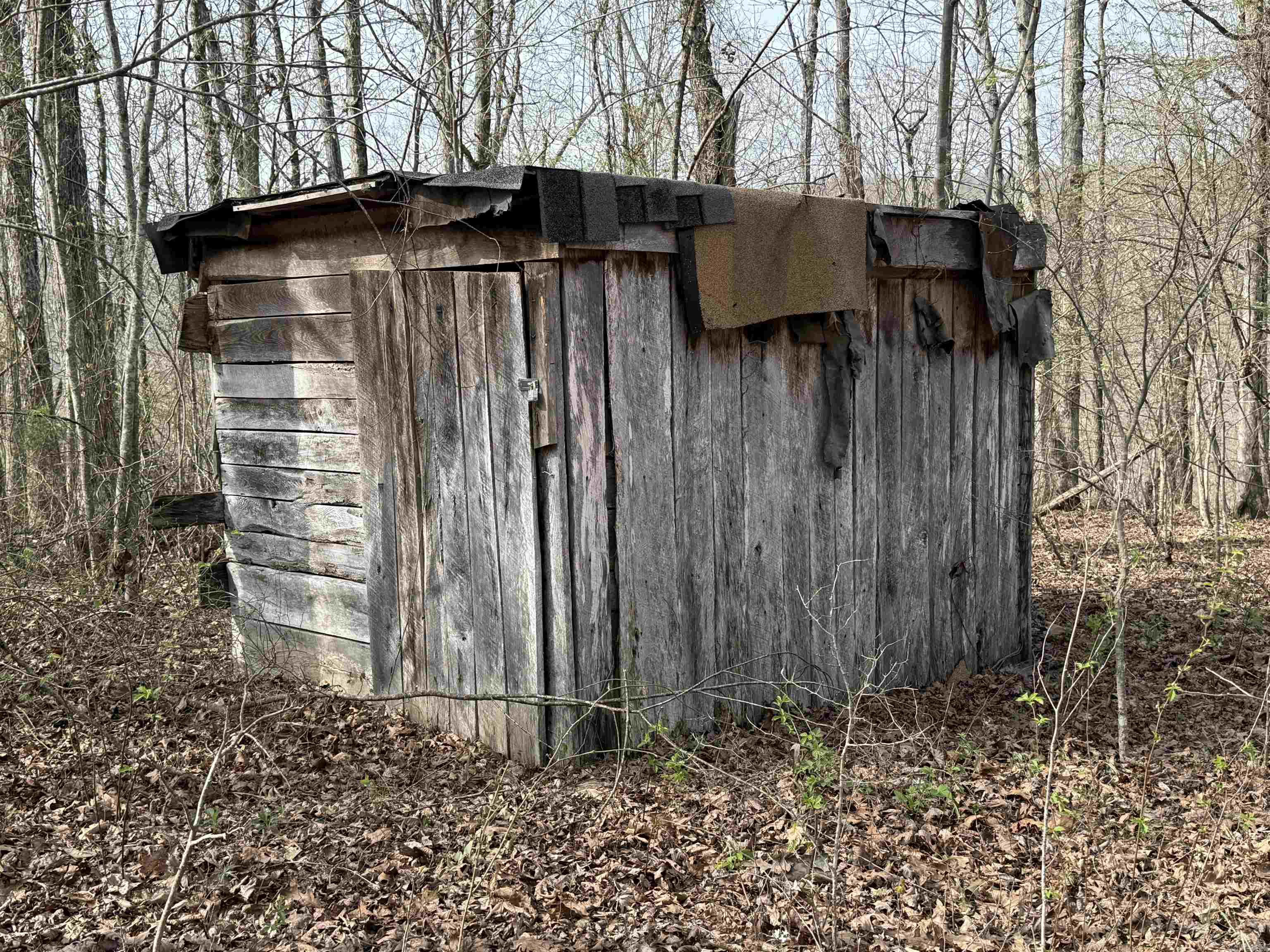 150  Woopsie  Leslie, AR