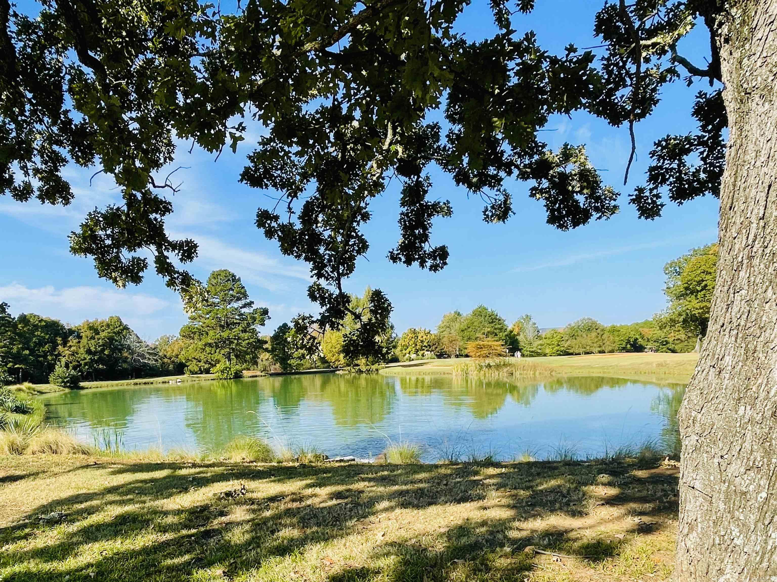4204 Southwinds Loop Heber Springs, AR 72543