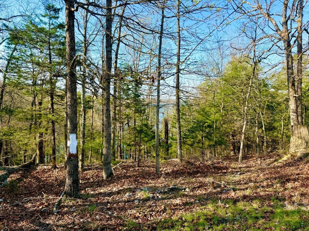 10019  Promise Land  Mountain Home, AR