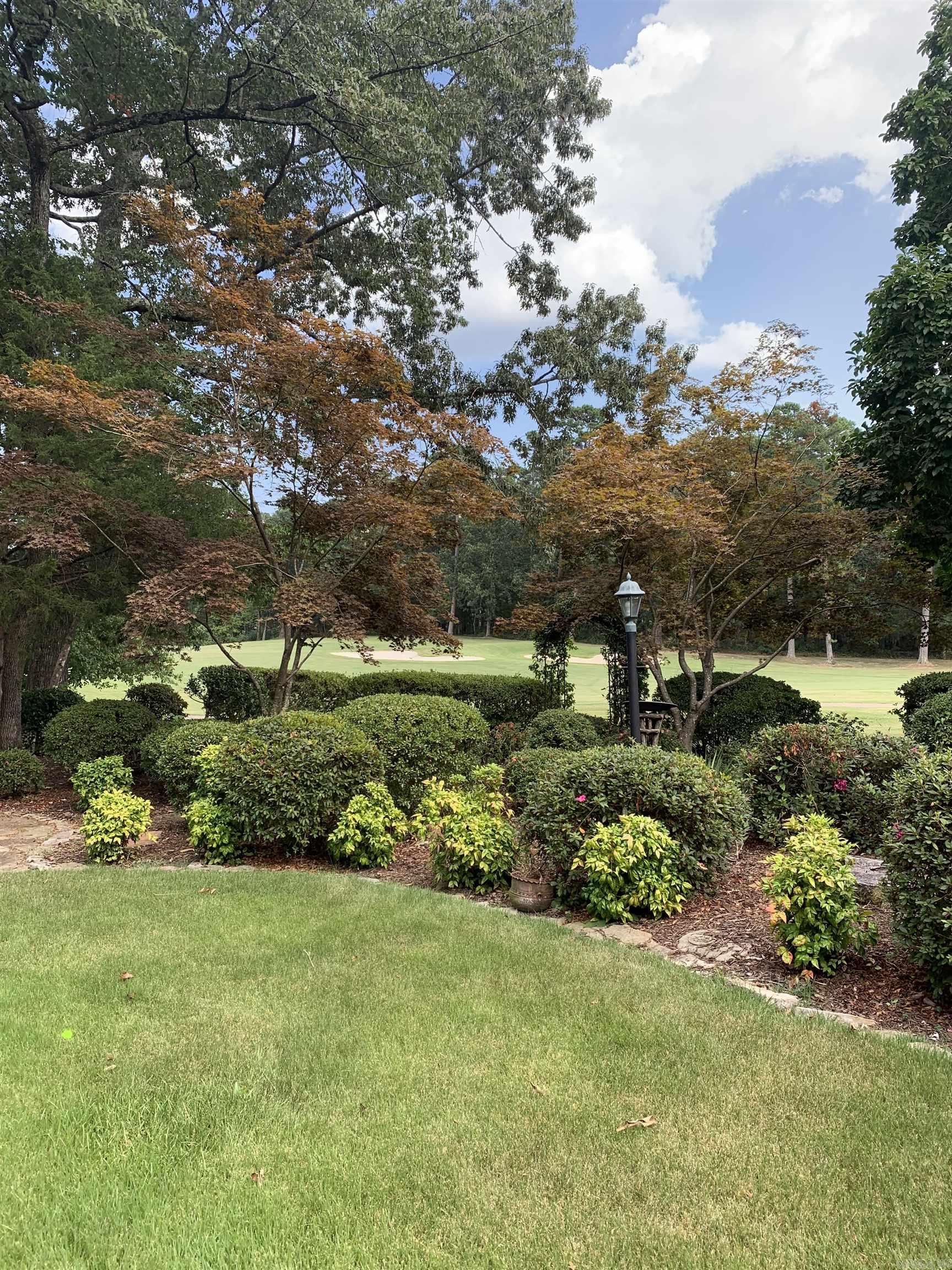 11 Durango Way Hot Springs Village, AR 71909