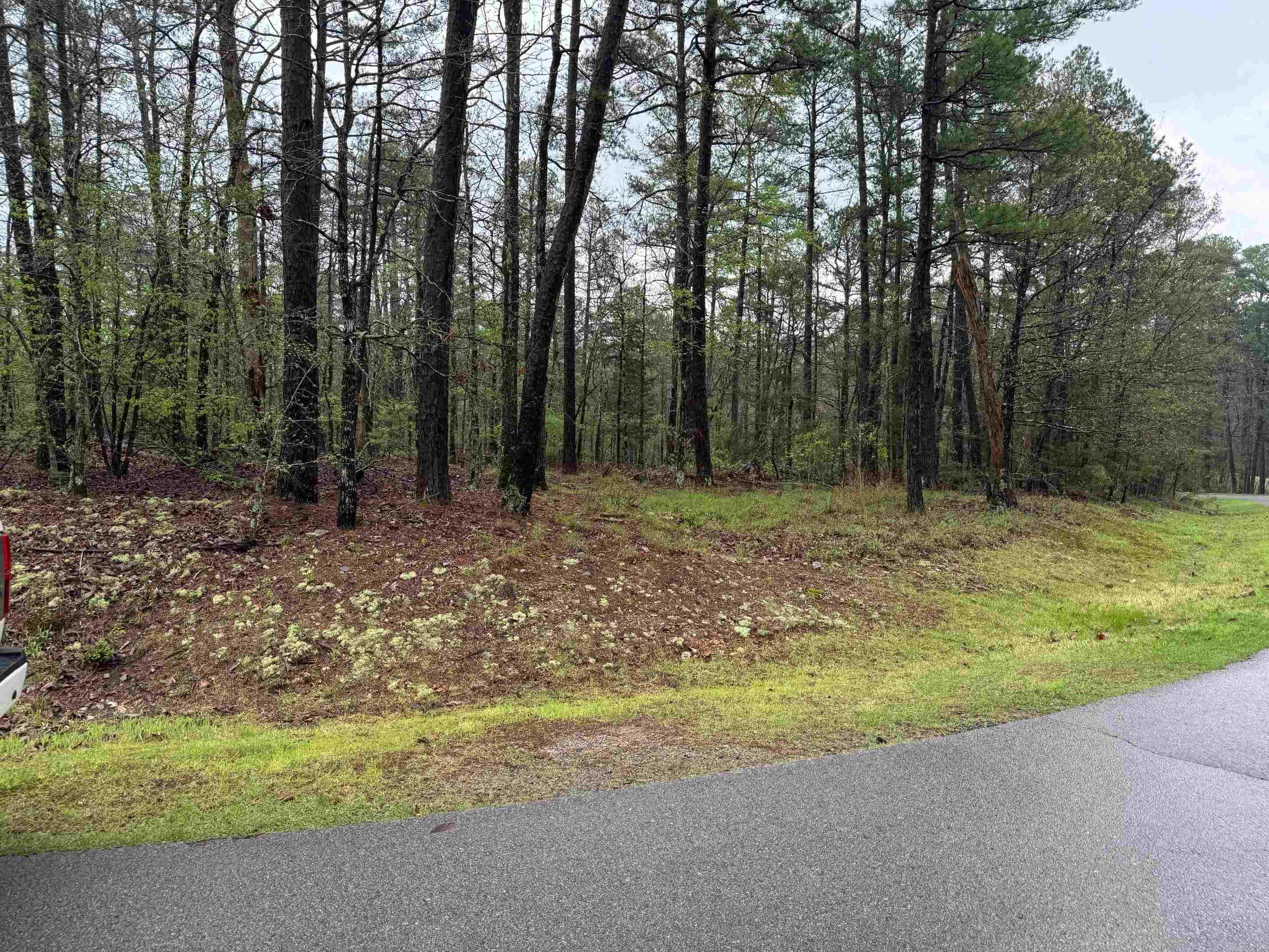 3  LINDURA WAY  Hot Springs Village, AR