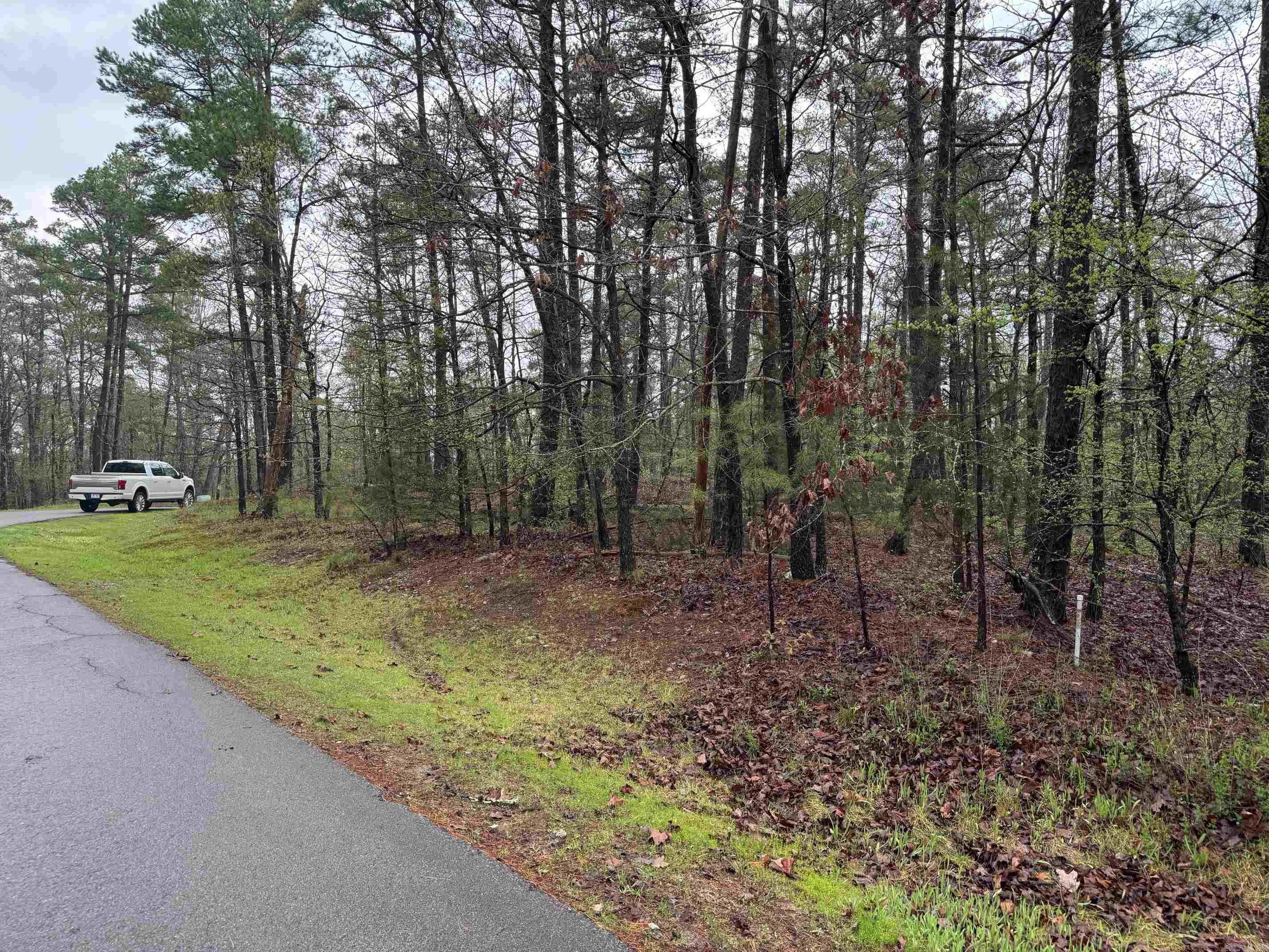 3  LINDURA WAY  Hot Springs Village, AR
