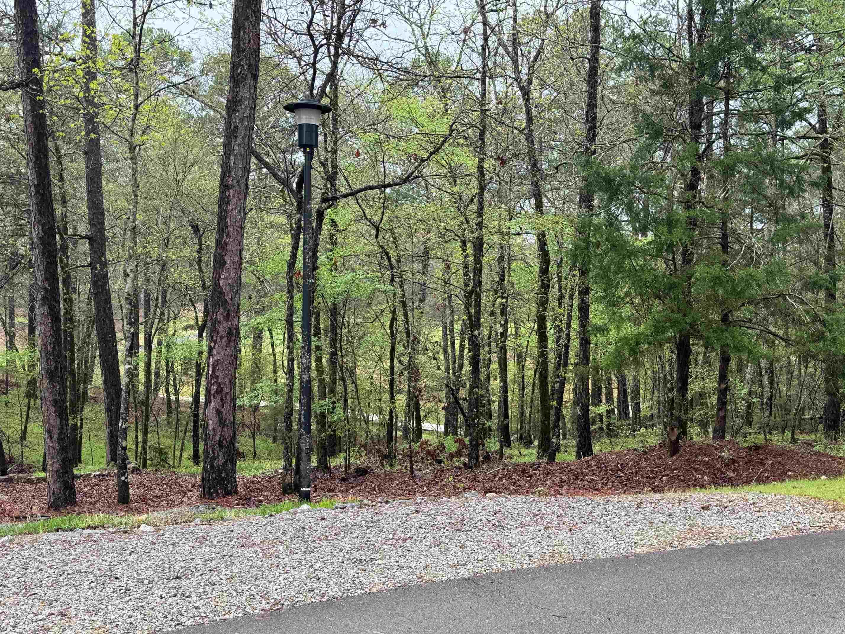 3  LINDURA WAY  Hot Springs Village, AR
