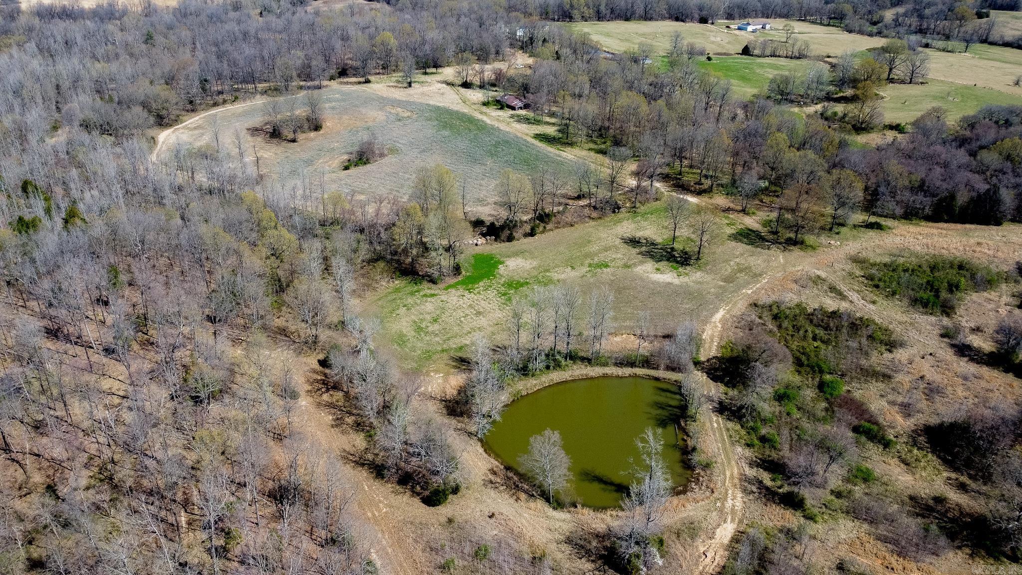 000  Clay 418  Rector, AR