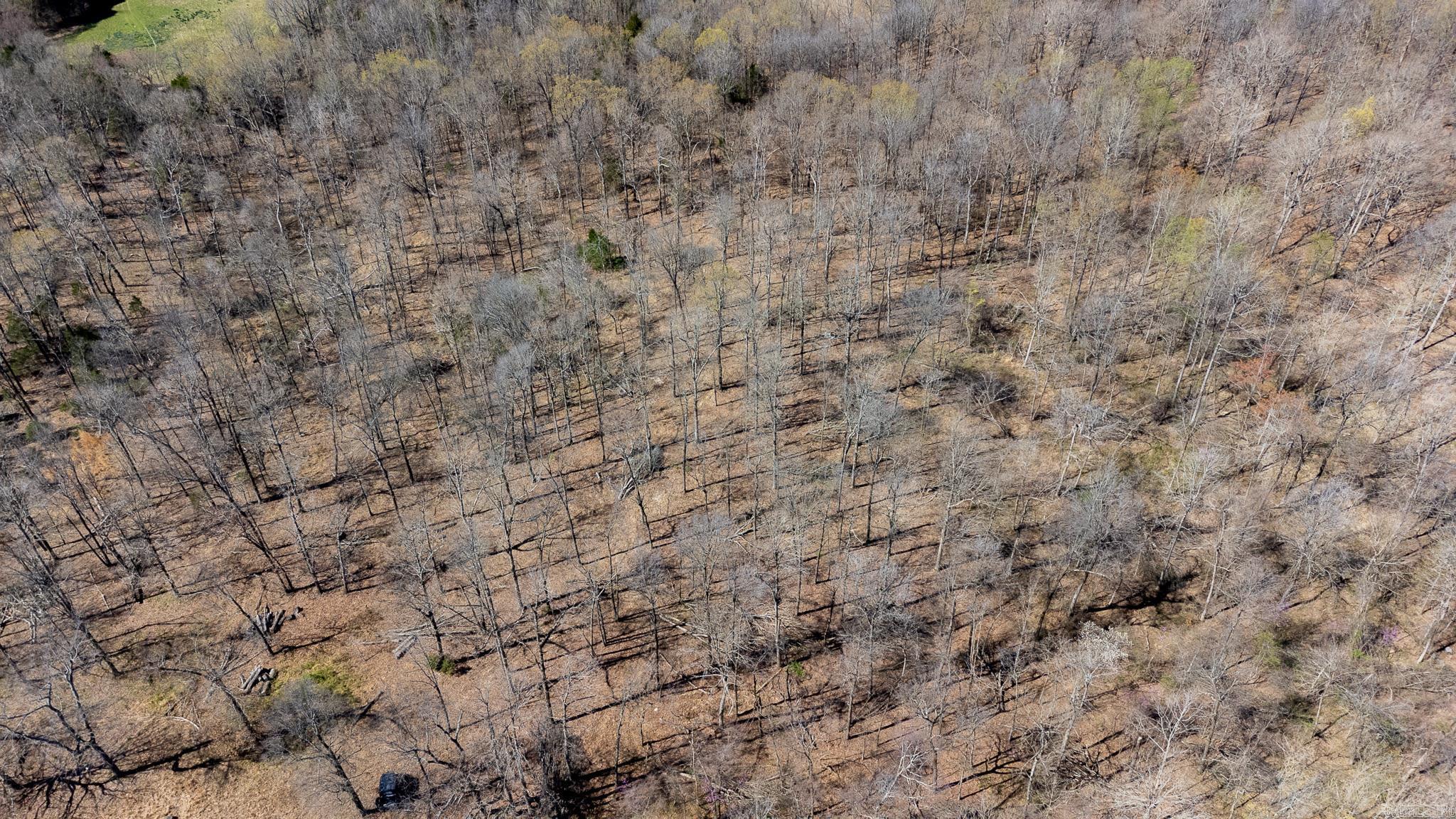 000  Clay 418  Rector, AR