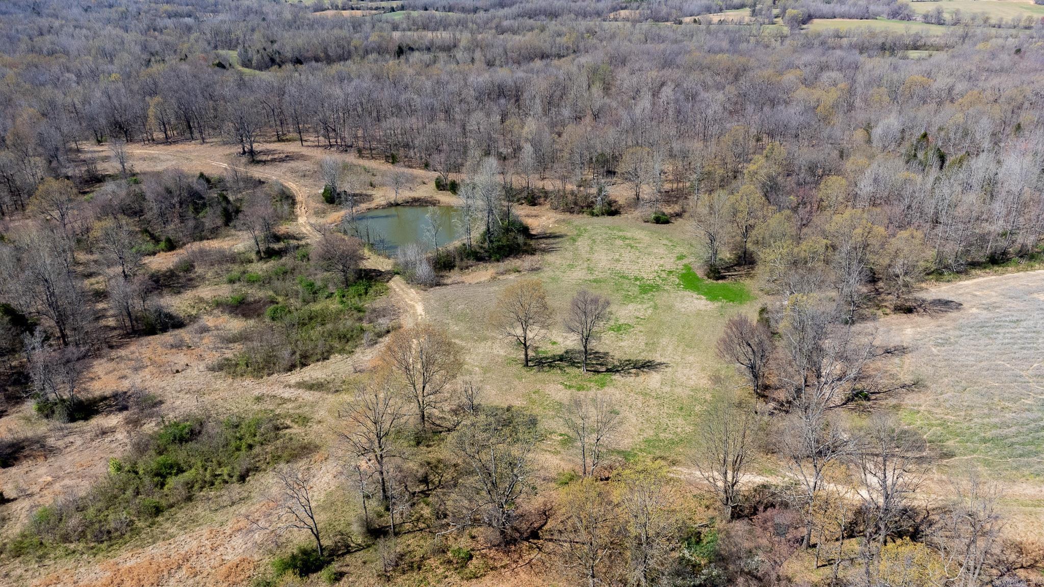 000  Clay 418  Rector, AR