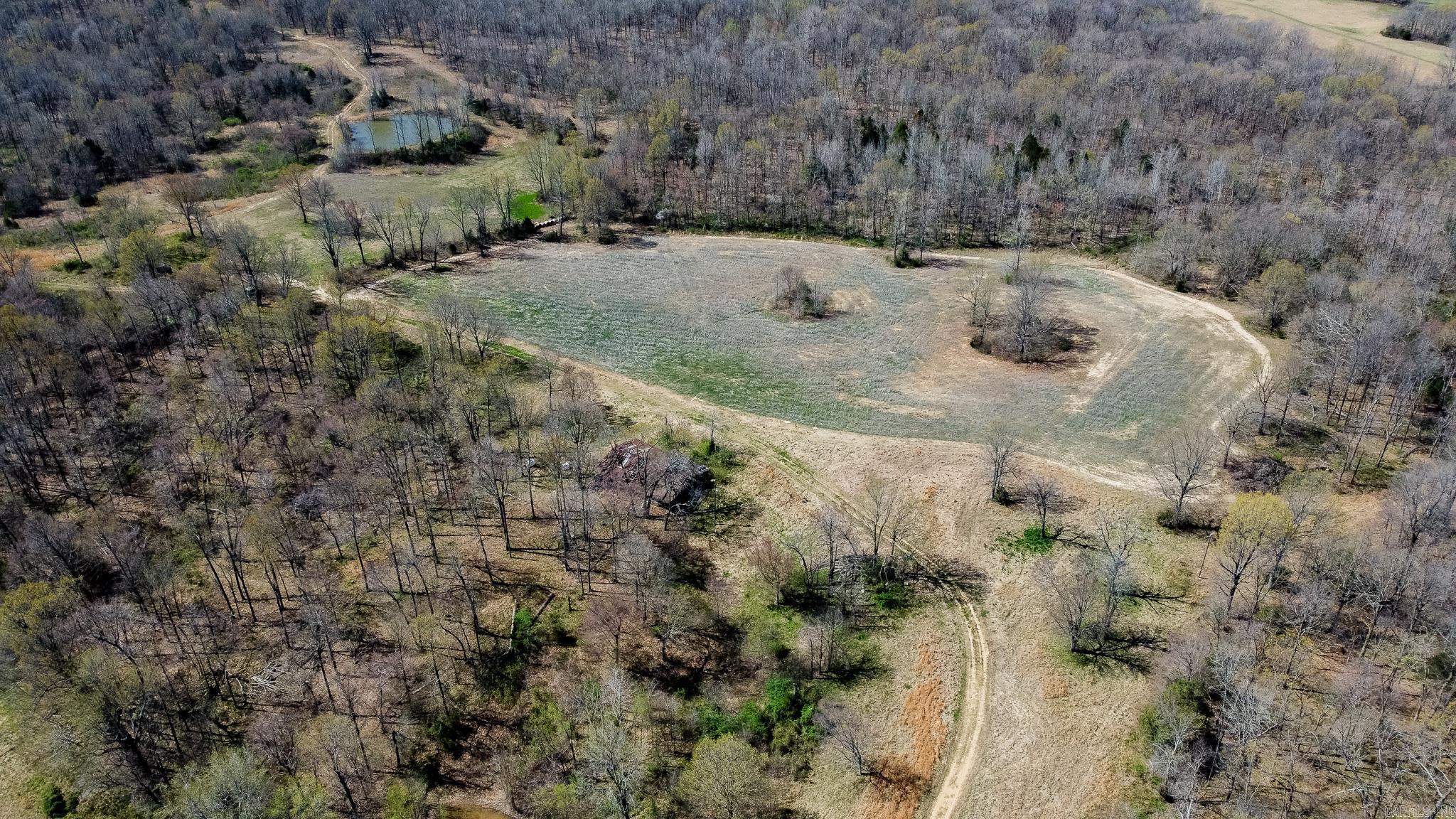 000  Clay 418  Rector, AR