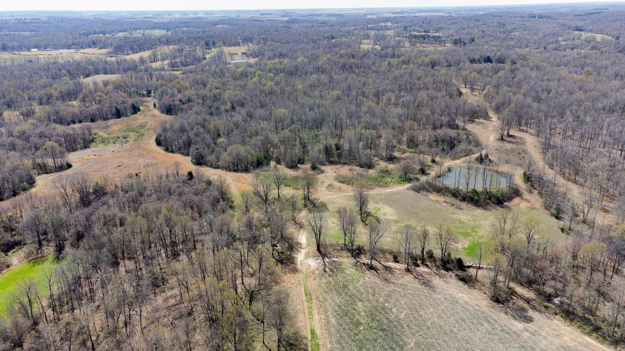 000  Clay 418  Rector, AR