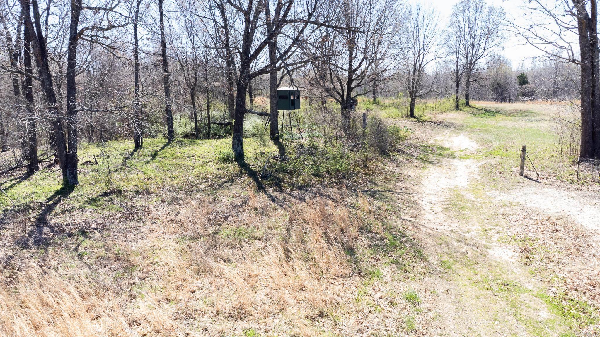 000  Clay 418  Rector, AR