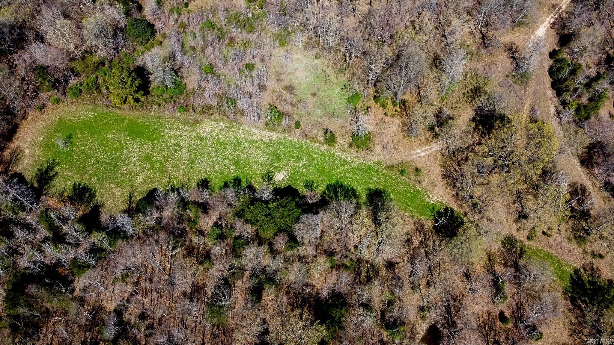 000  Clay 418  Rector, AR