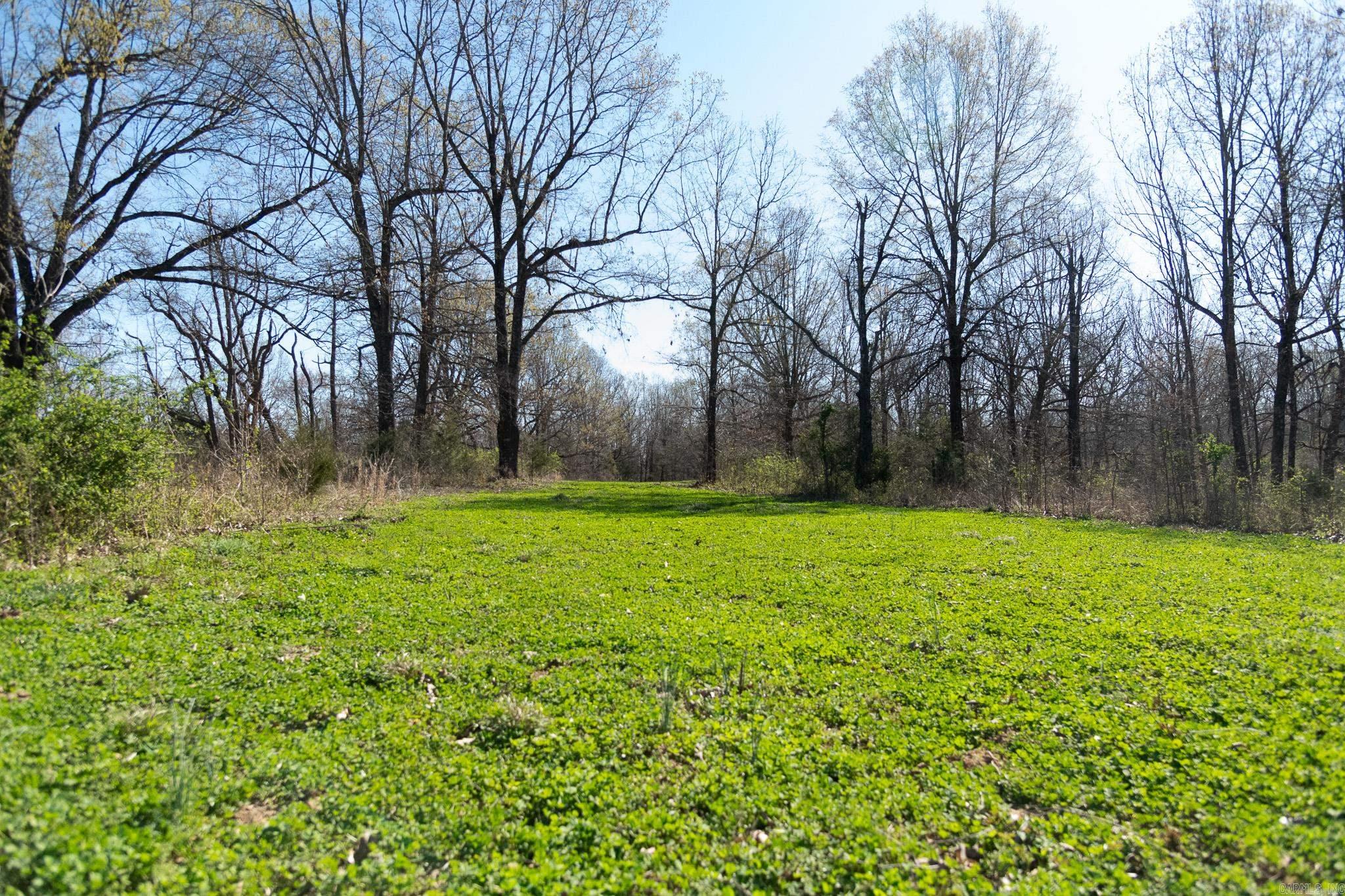 000  Clay 418  Rector, AR