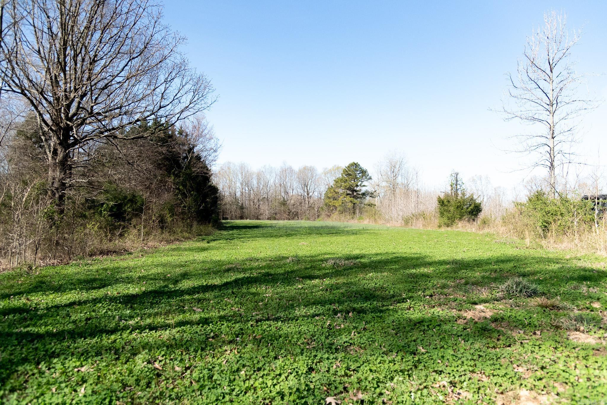 000  Clay 418  Rector, AR