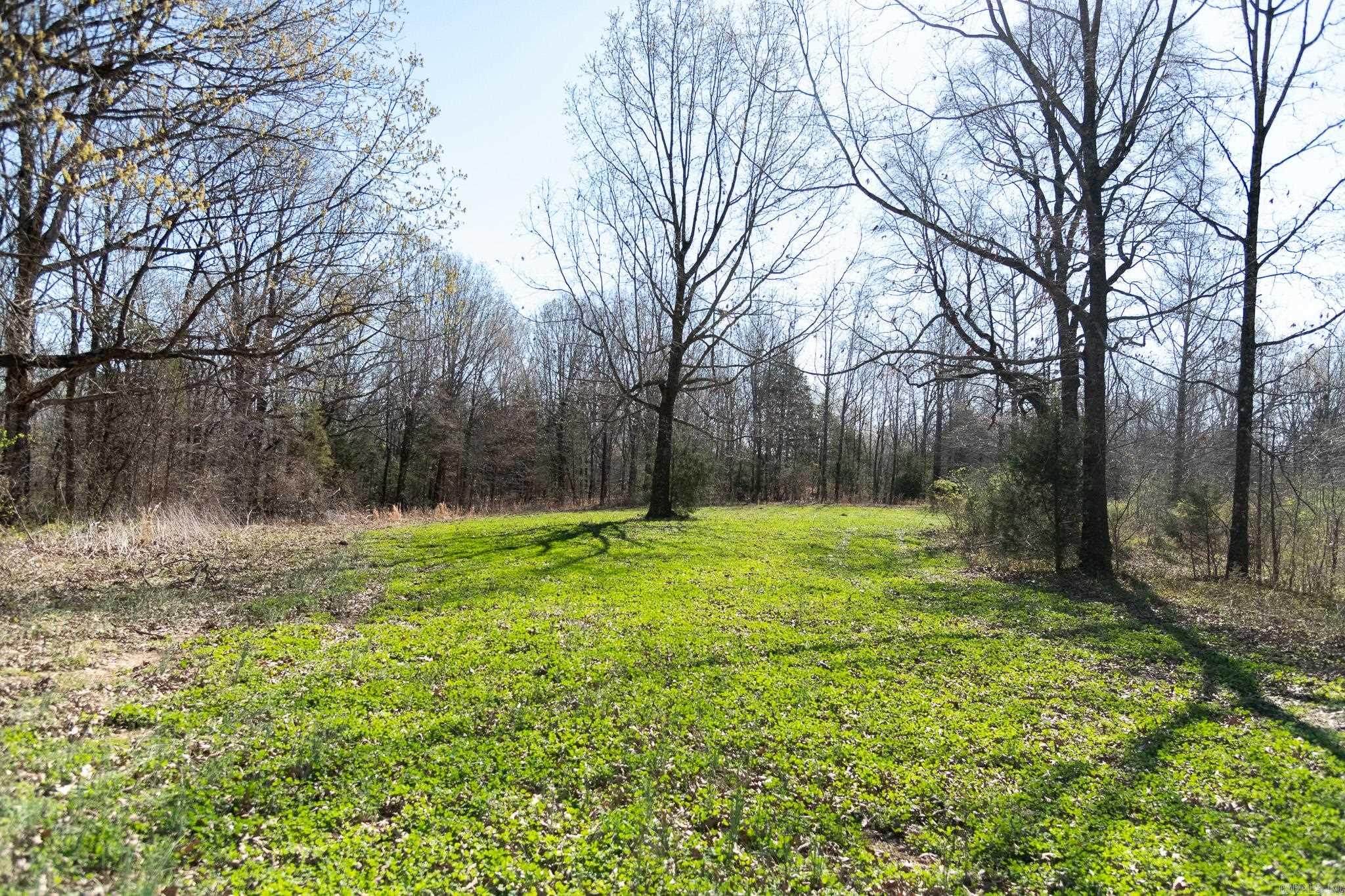 000  Clay 418  Rector, AR