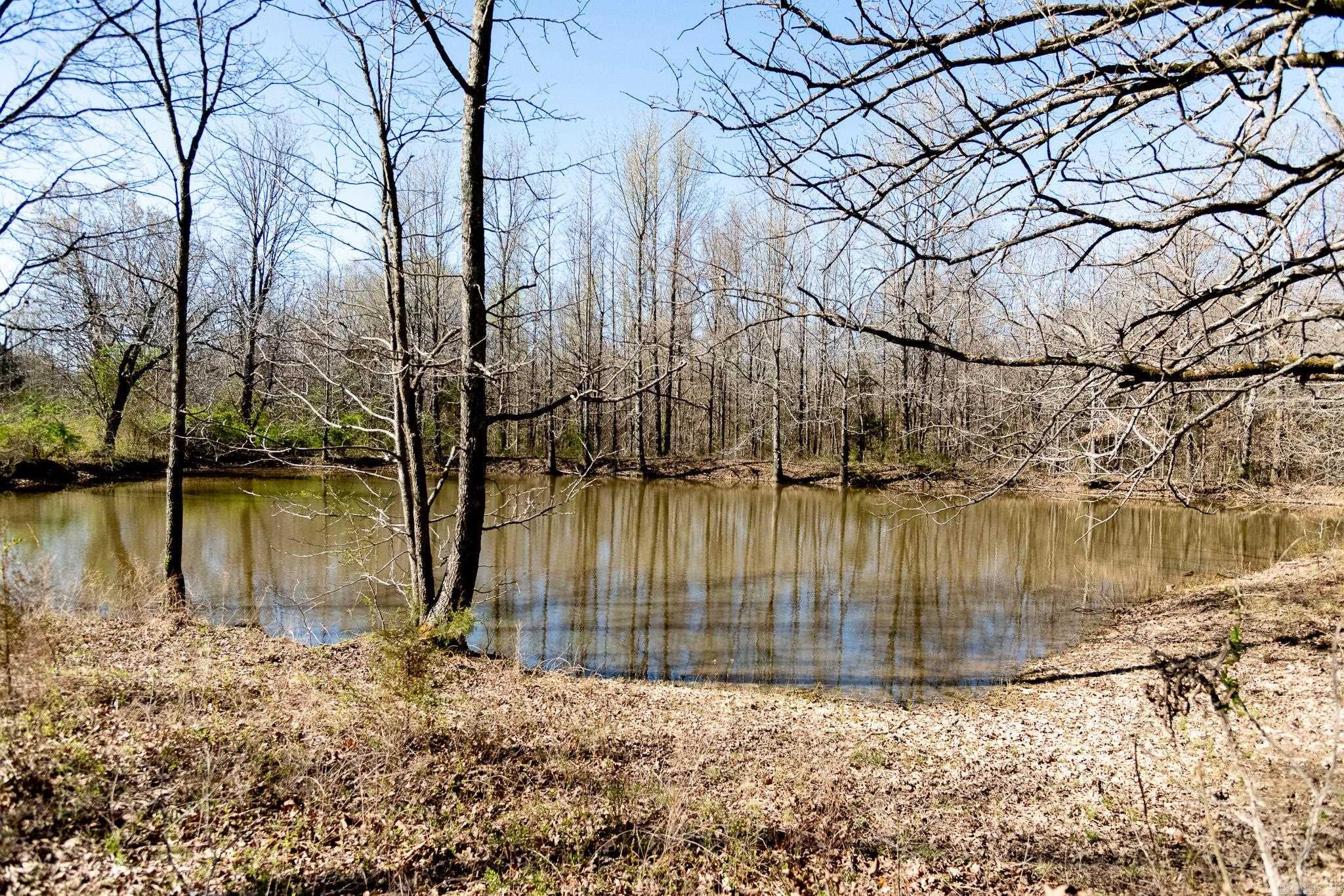 000  Clay 418  Rector, AR