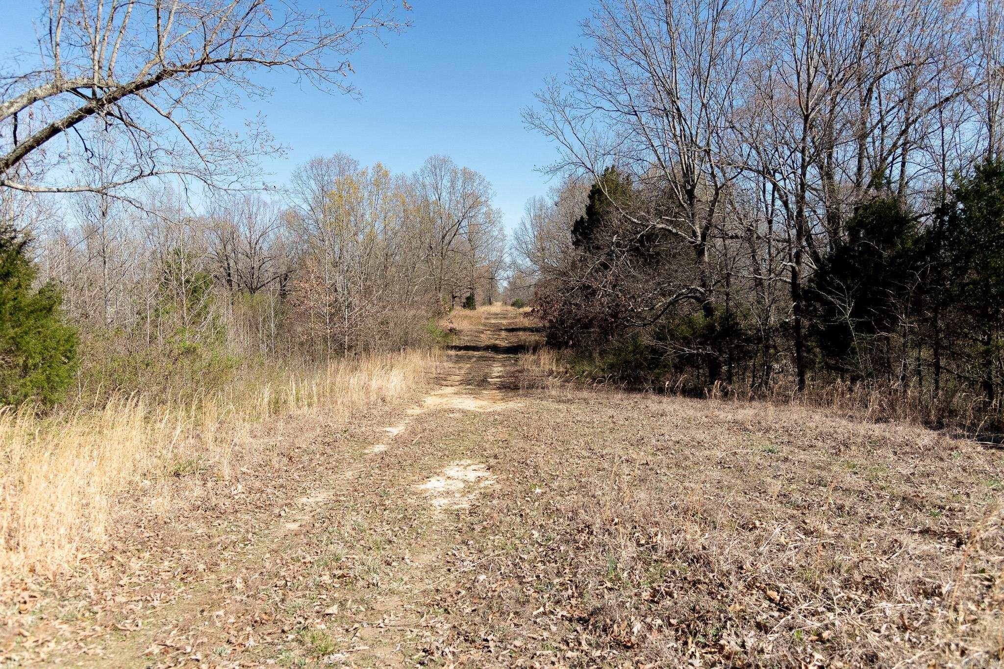 000  Clay 418  Rector, AR