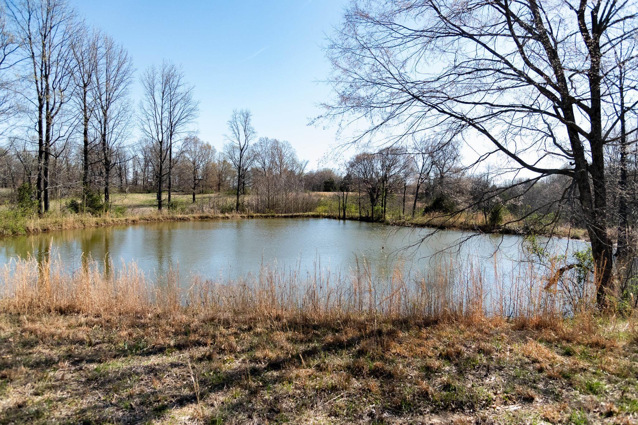 000  Clay 418  Rector, AR