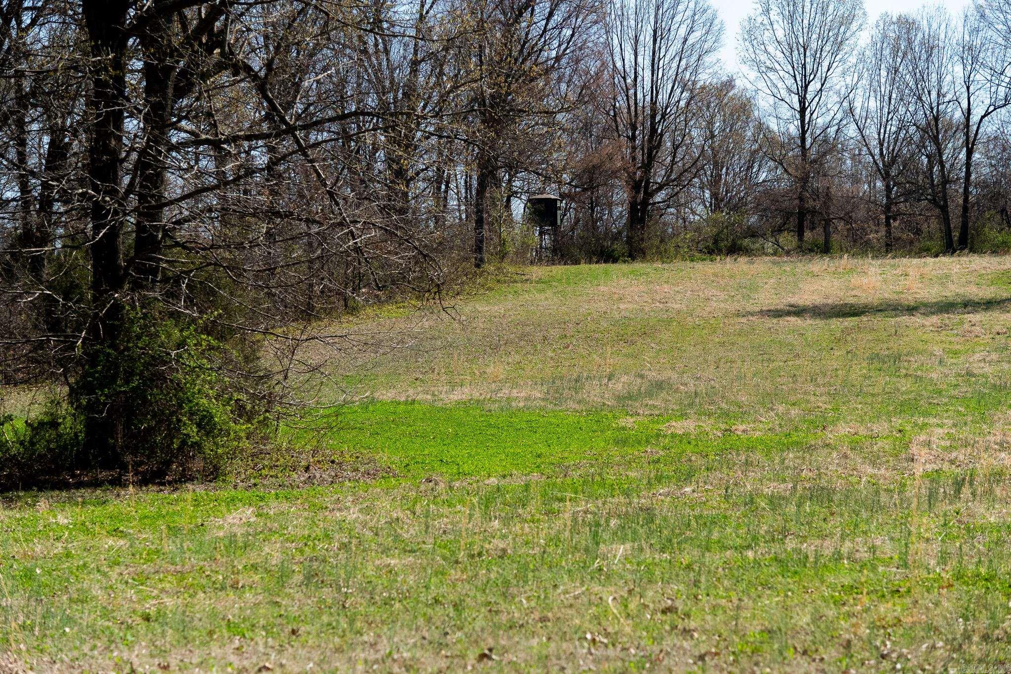000  Clay 418  Rector, AR