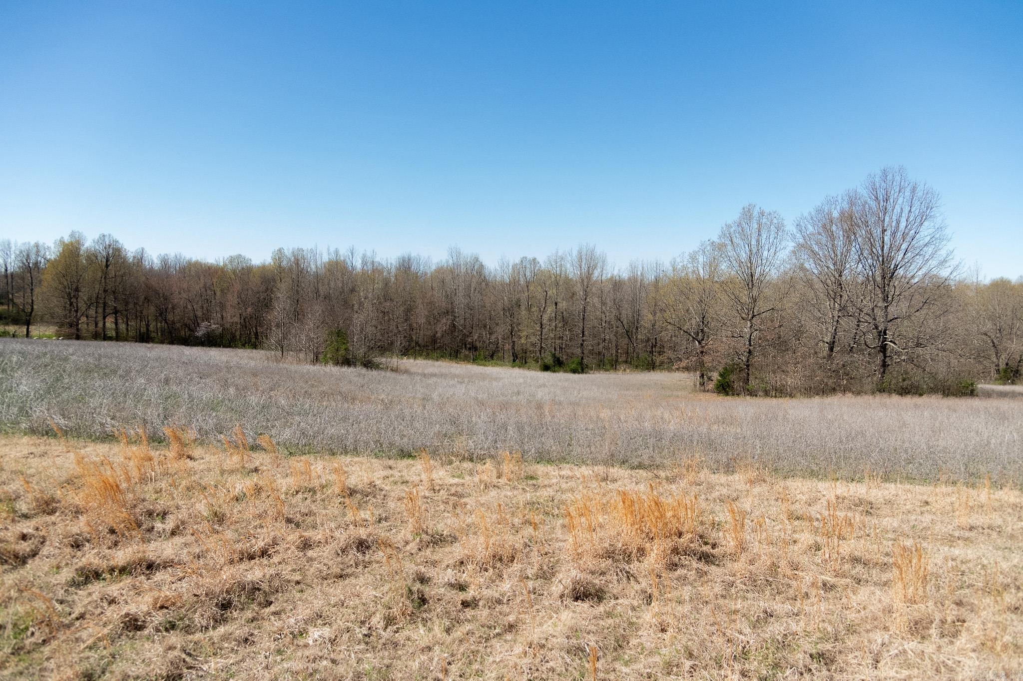 000  Clay 418  Rector, AR