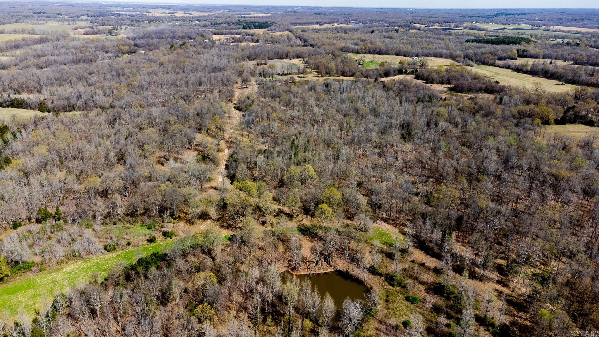 000  Clay 418  Rector, AR