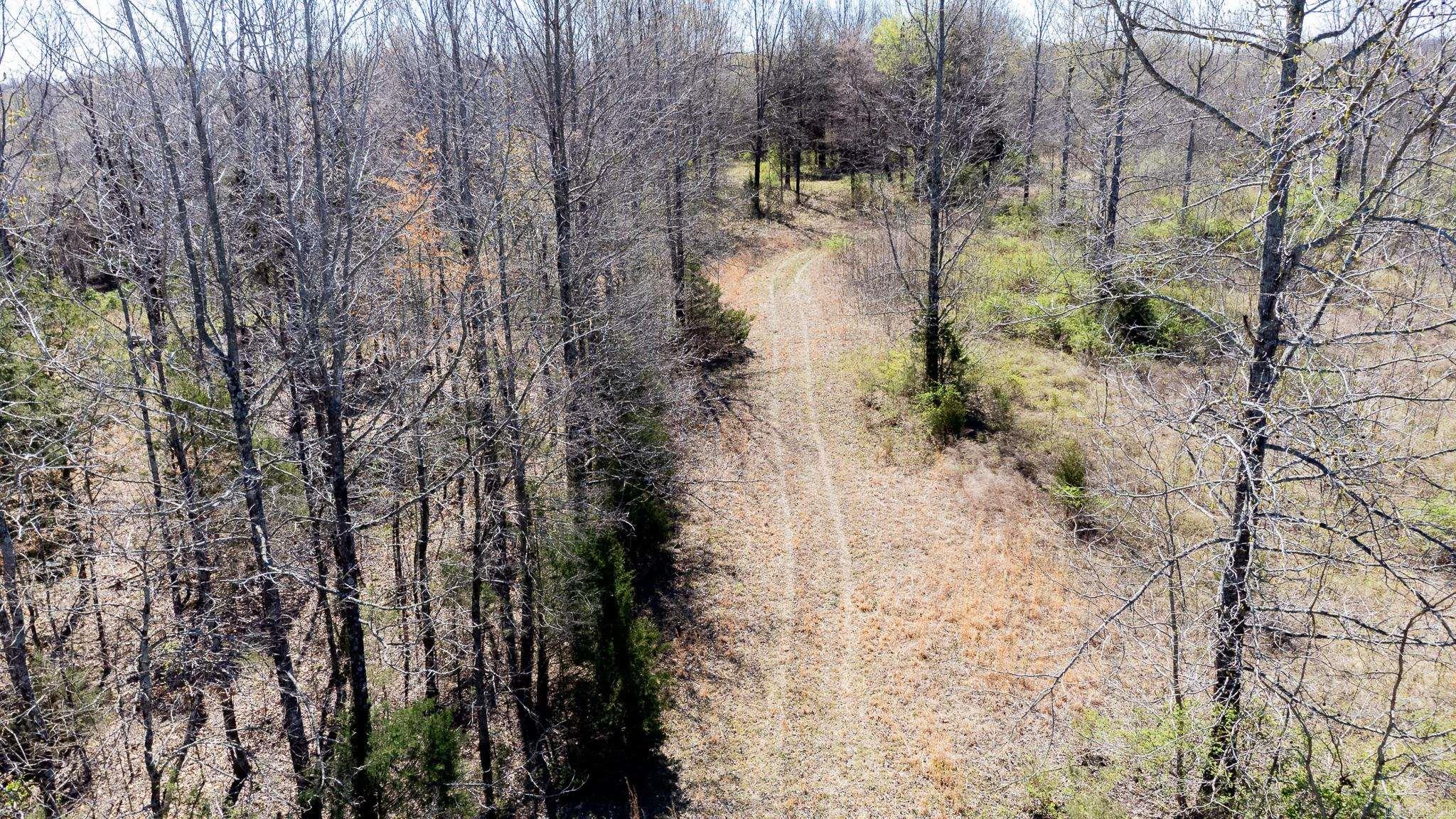000  Clay 418  Rector, AR