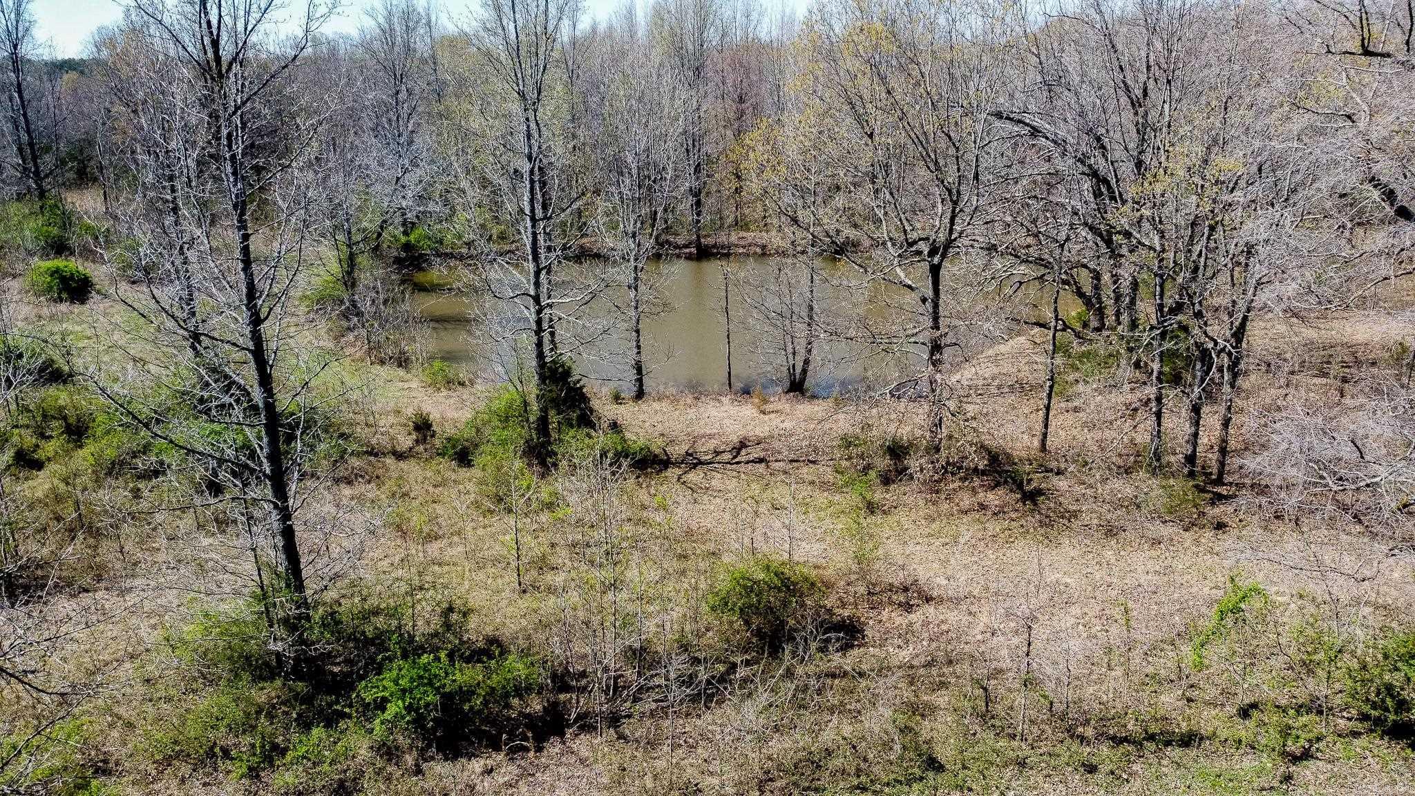 000  Clay 418  Rector, AR