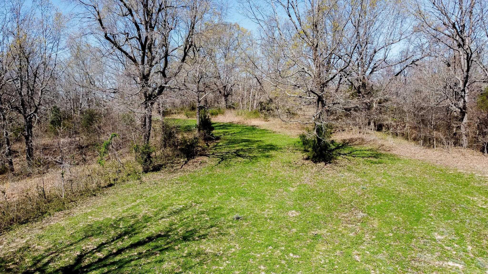 000  Clay 418  Rector, AR