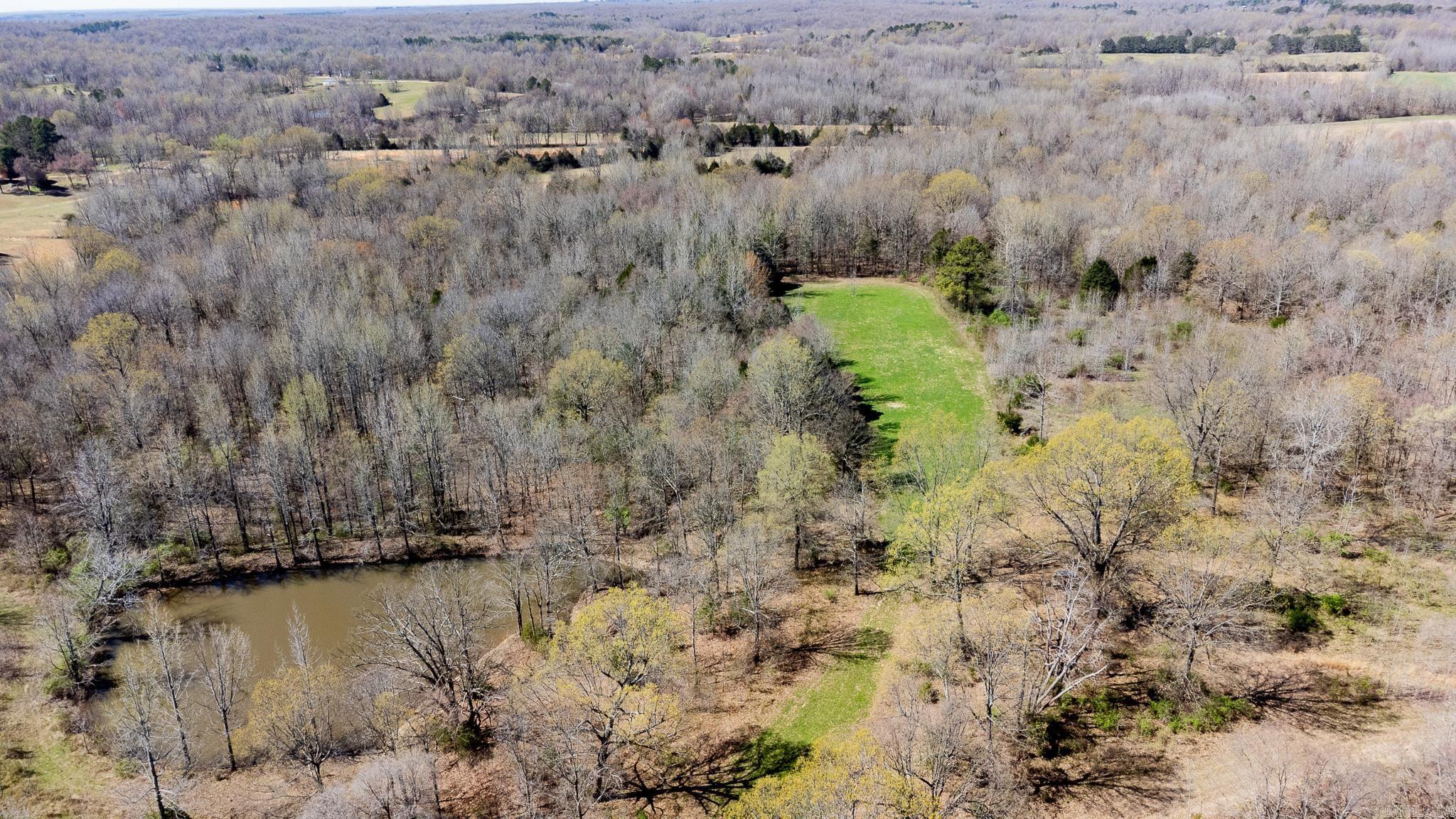 000  Clay 418  Rector, AR