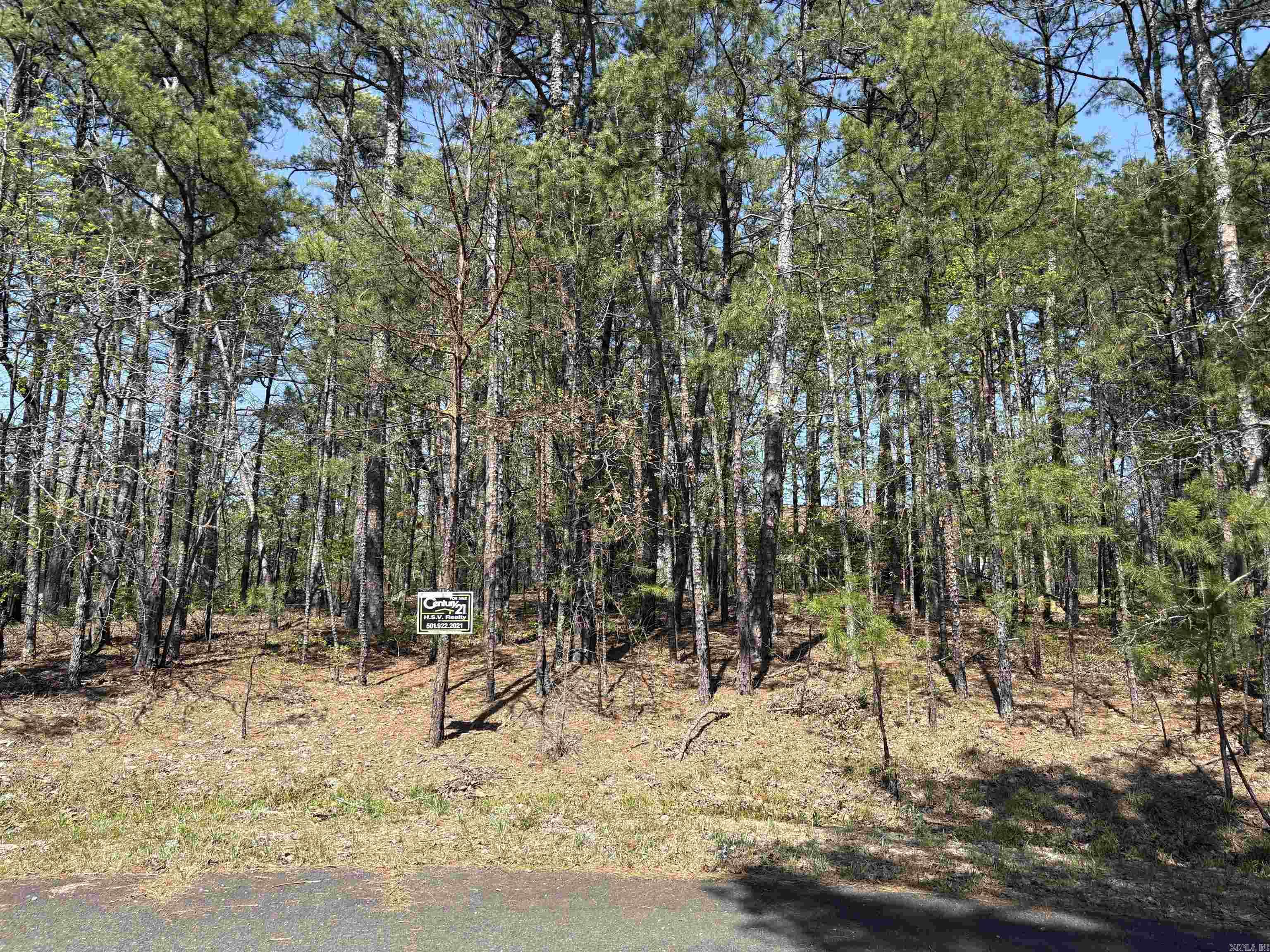 8  Ferdinand  Hot Springs Village, AR