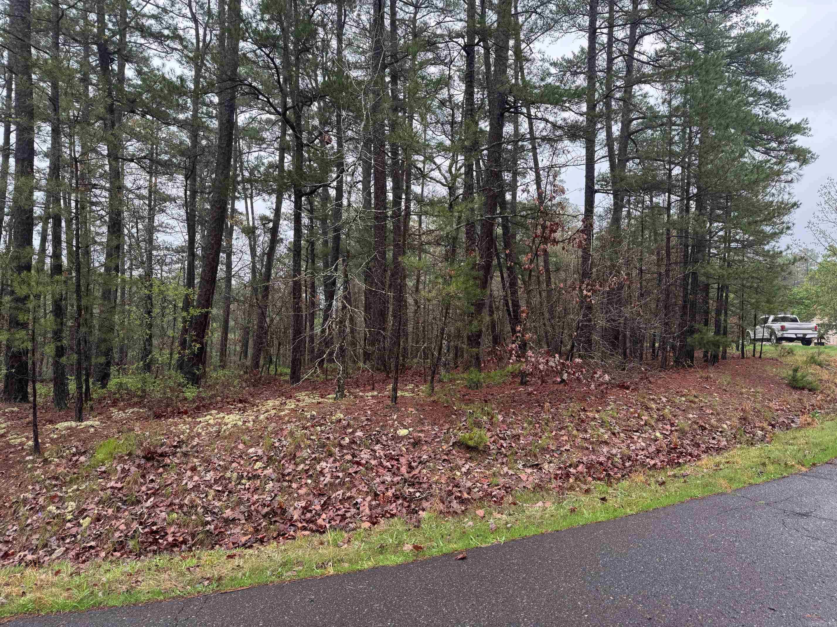 15  CARPRICHO LANE  Hot Springs Village, AR