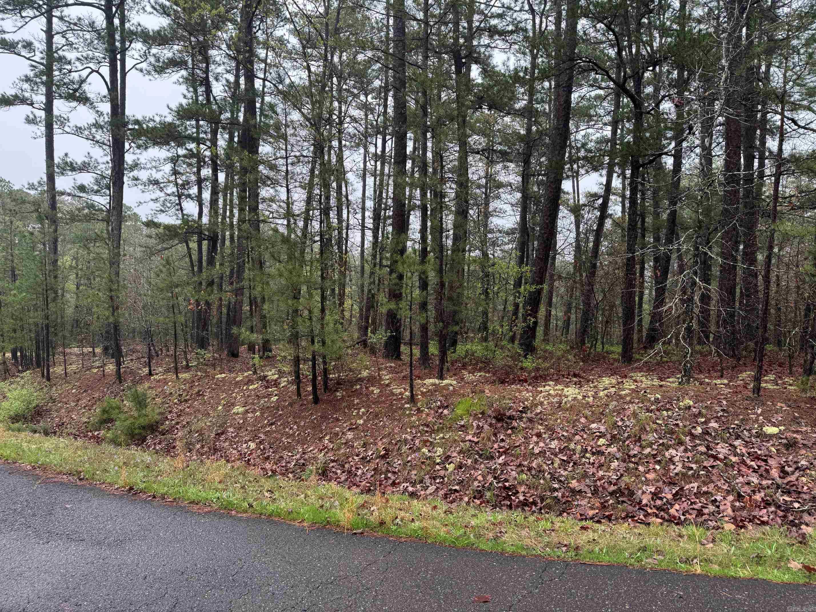 15  CARPRICHO LANE  Hot Springs Village, AR