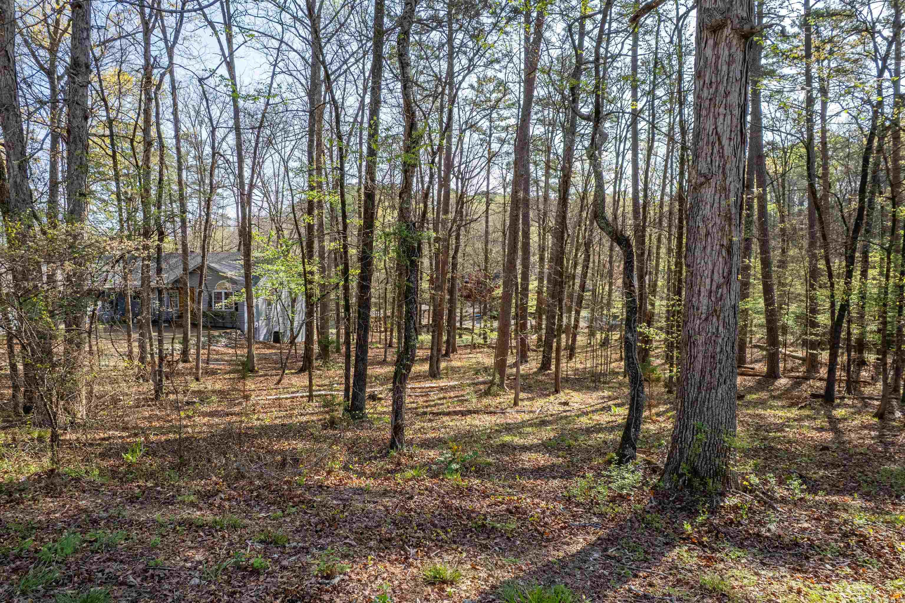 7  Sabiote  Hot Springs Village, AR