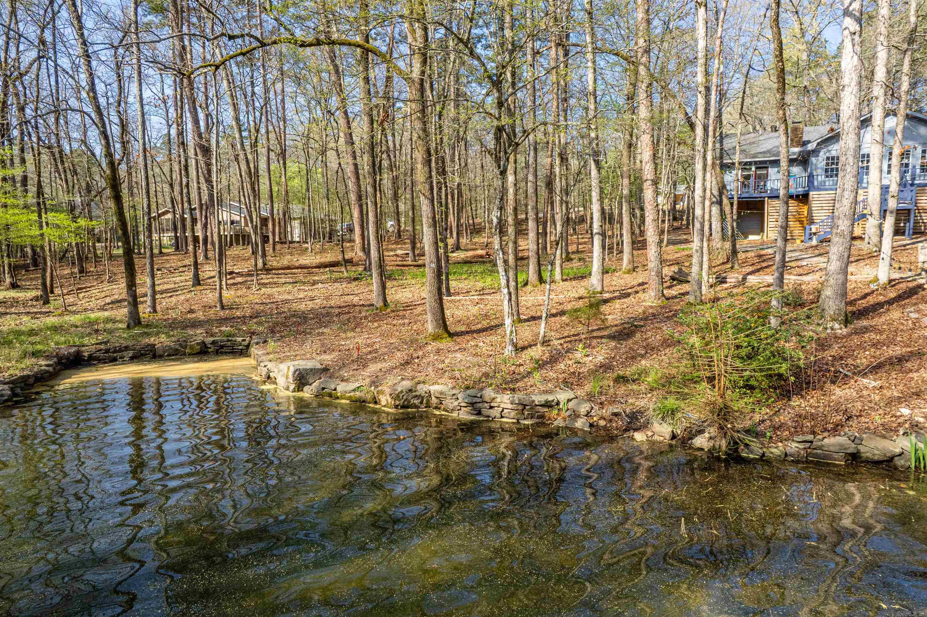 7  Sabiote  Hot Springs Village, AR