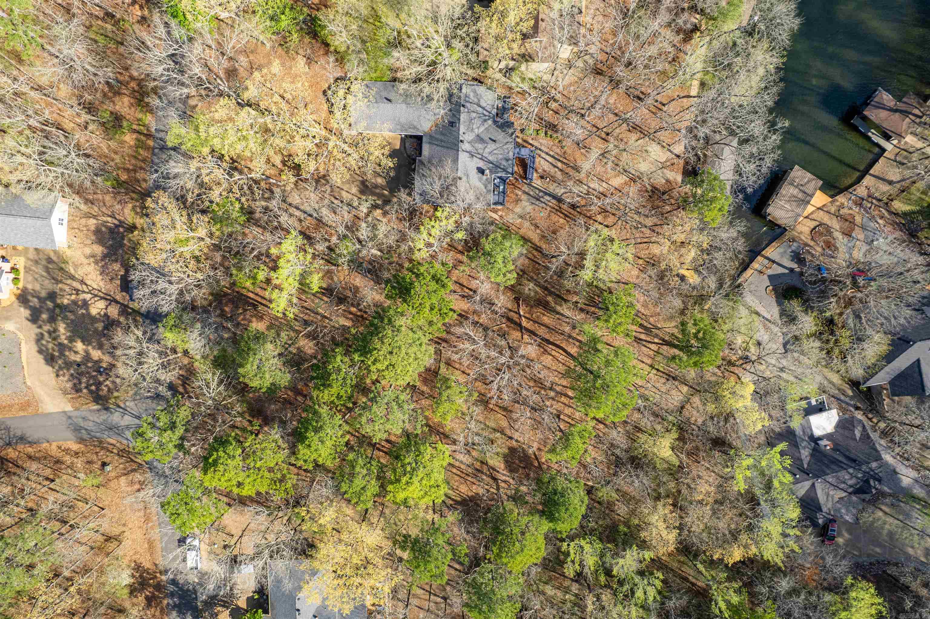 7  Sabiote  Hot Springs Village, AR