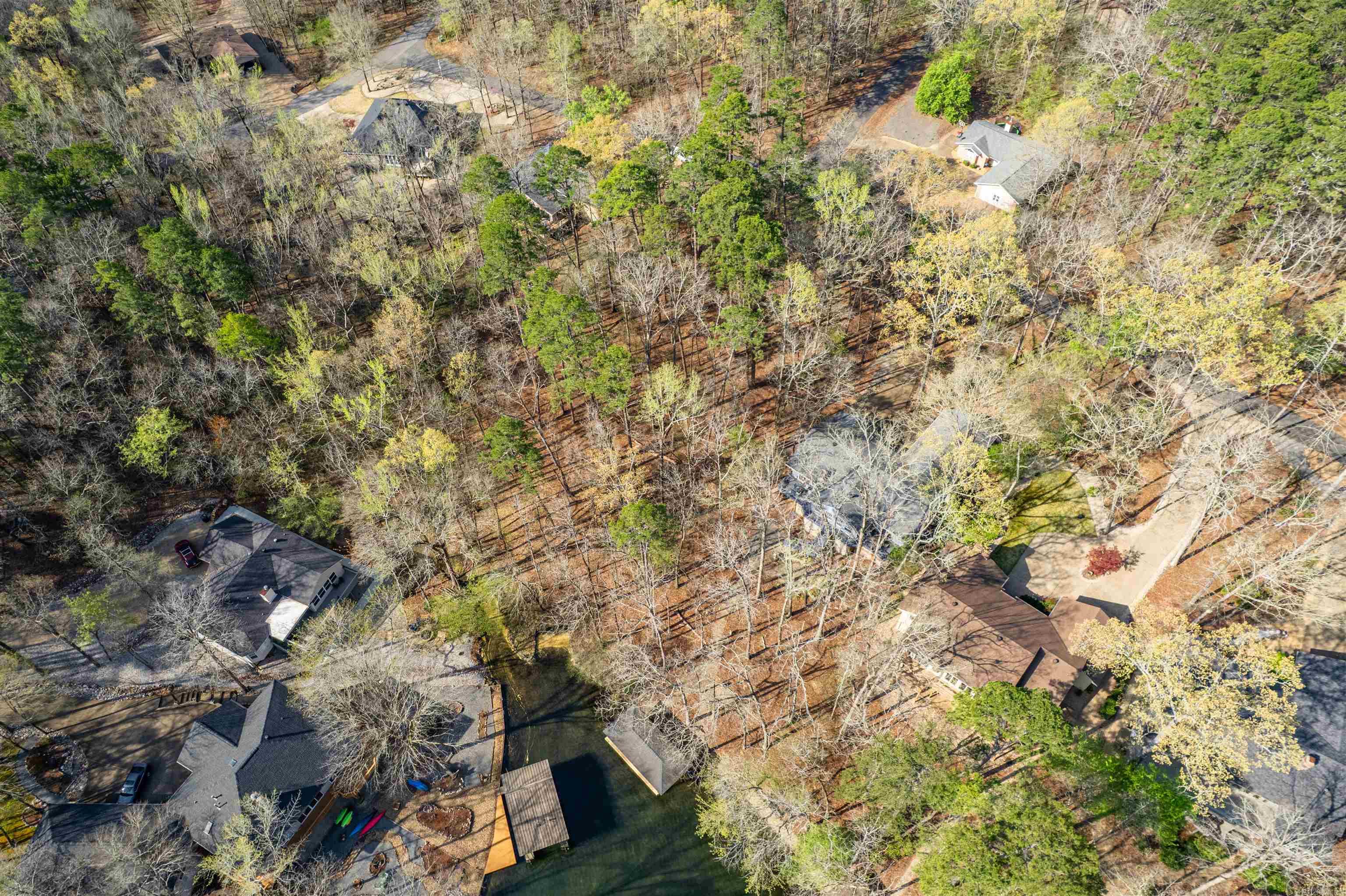 7  Sabiote  Hot Springs Village, AR