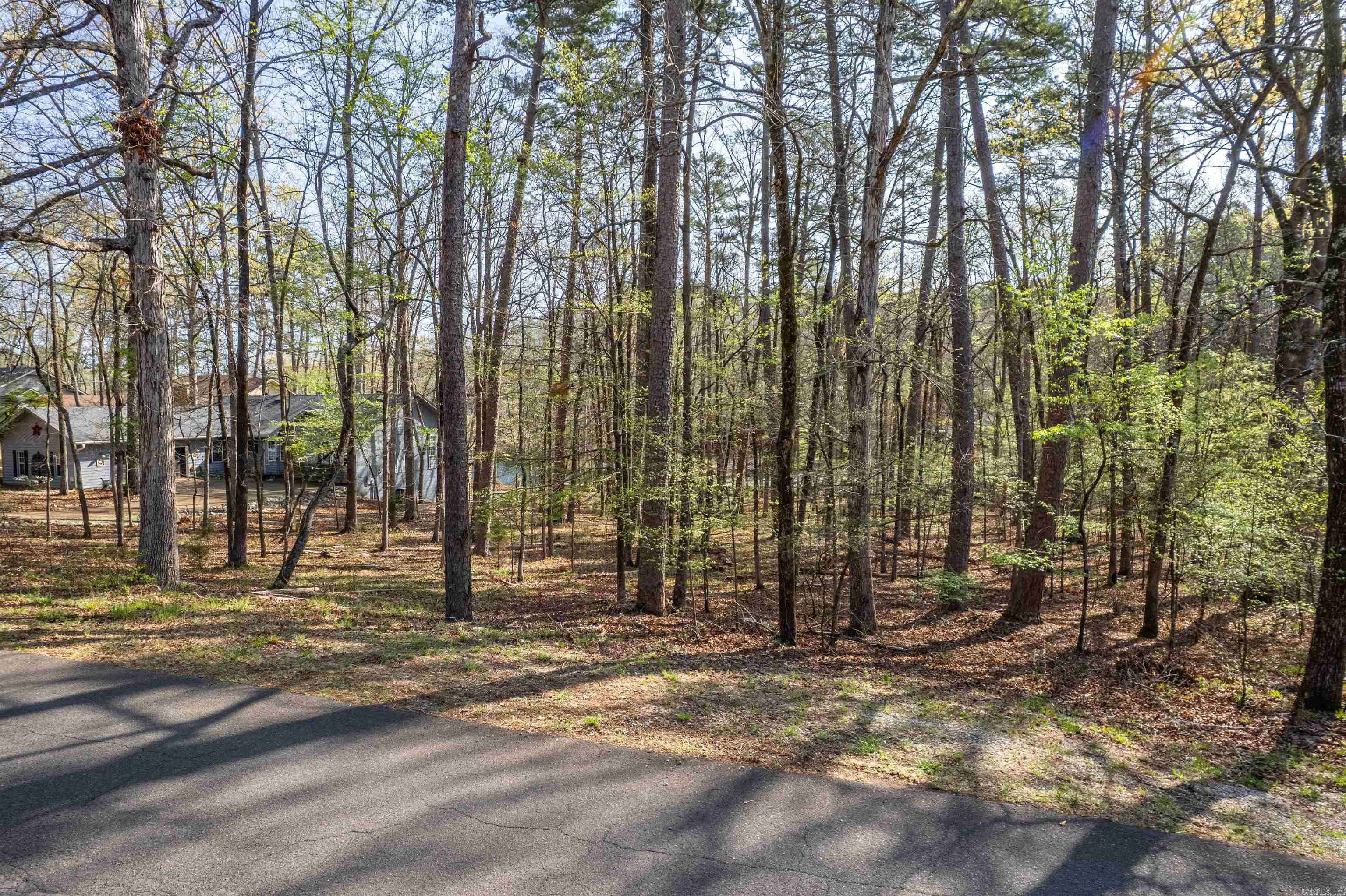 7  Sabiote  Hot Springs Village, AR