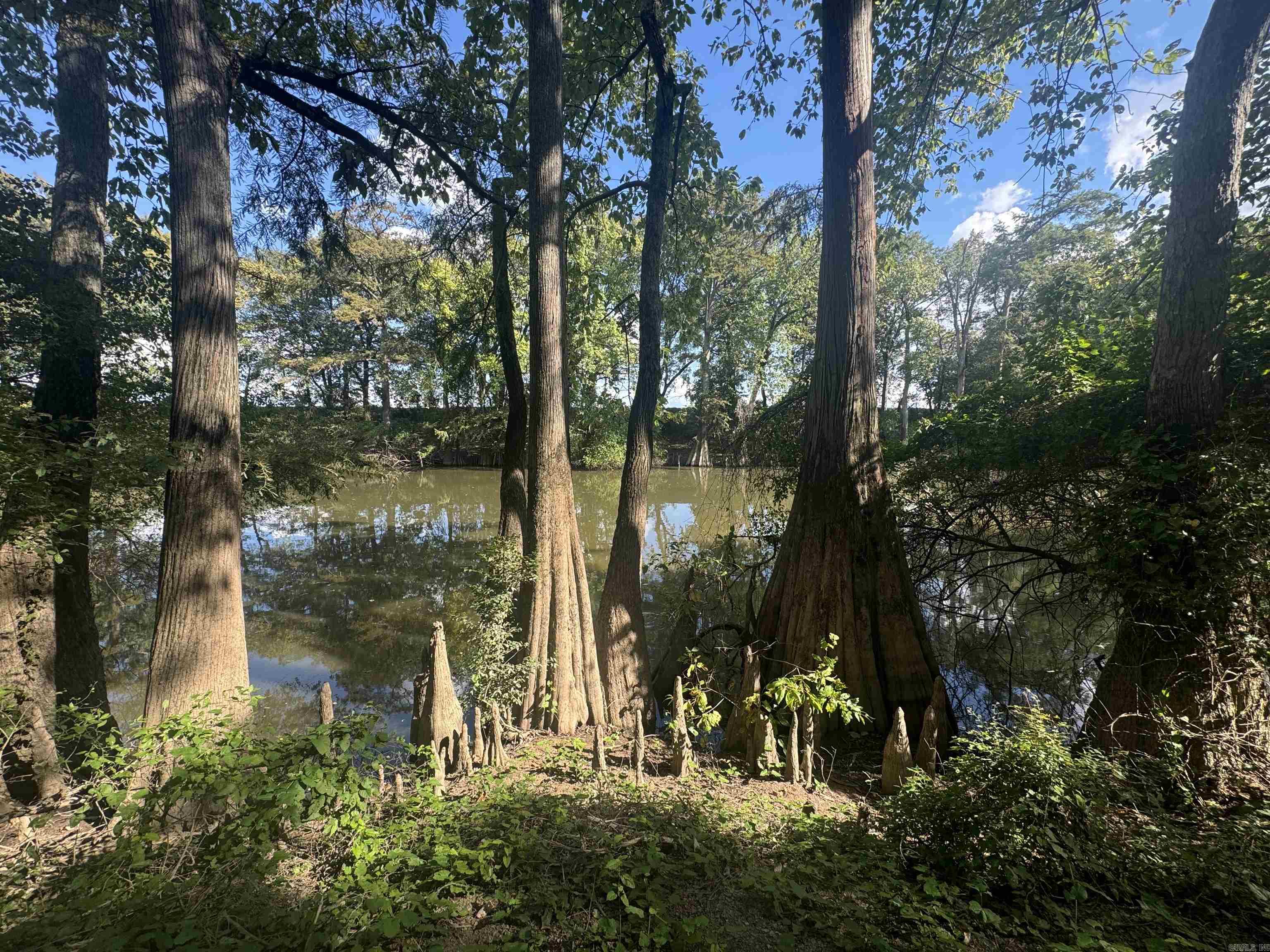 881 N 15  Lonoke, AR