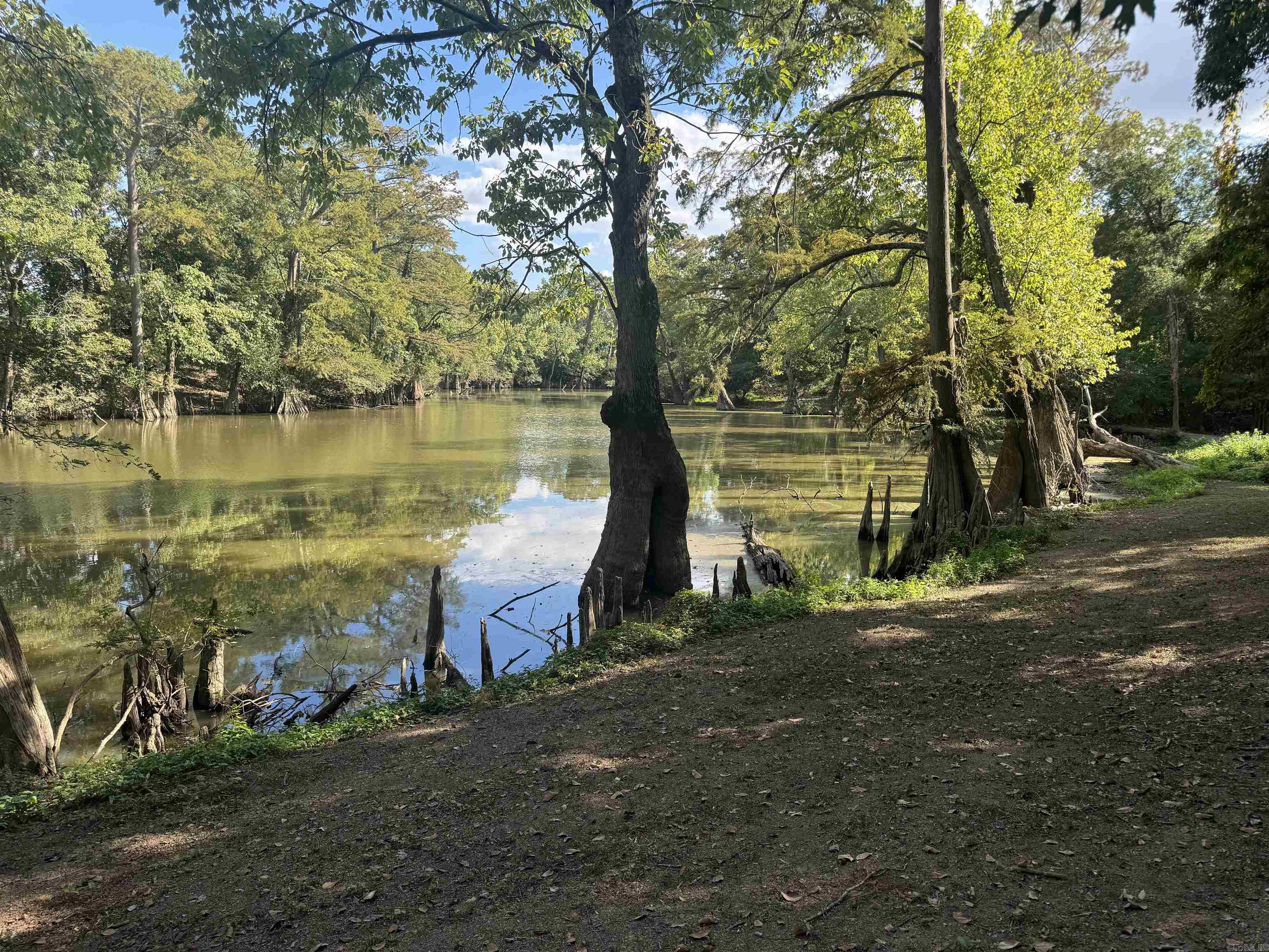 881 N 15  Lonoke, AR
