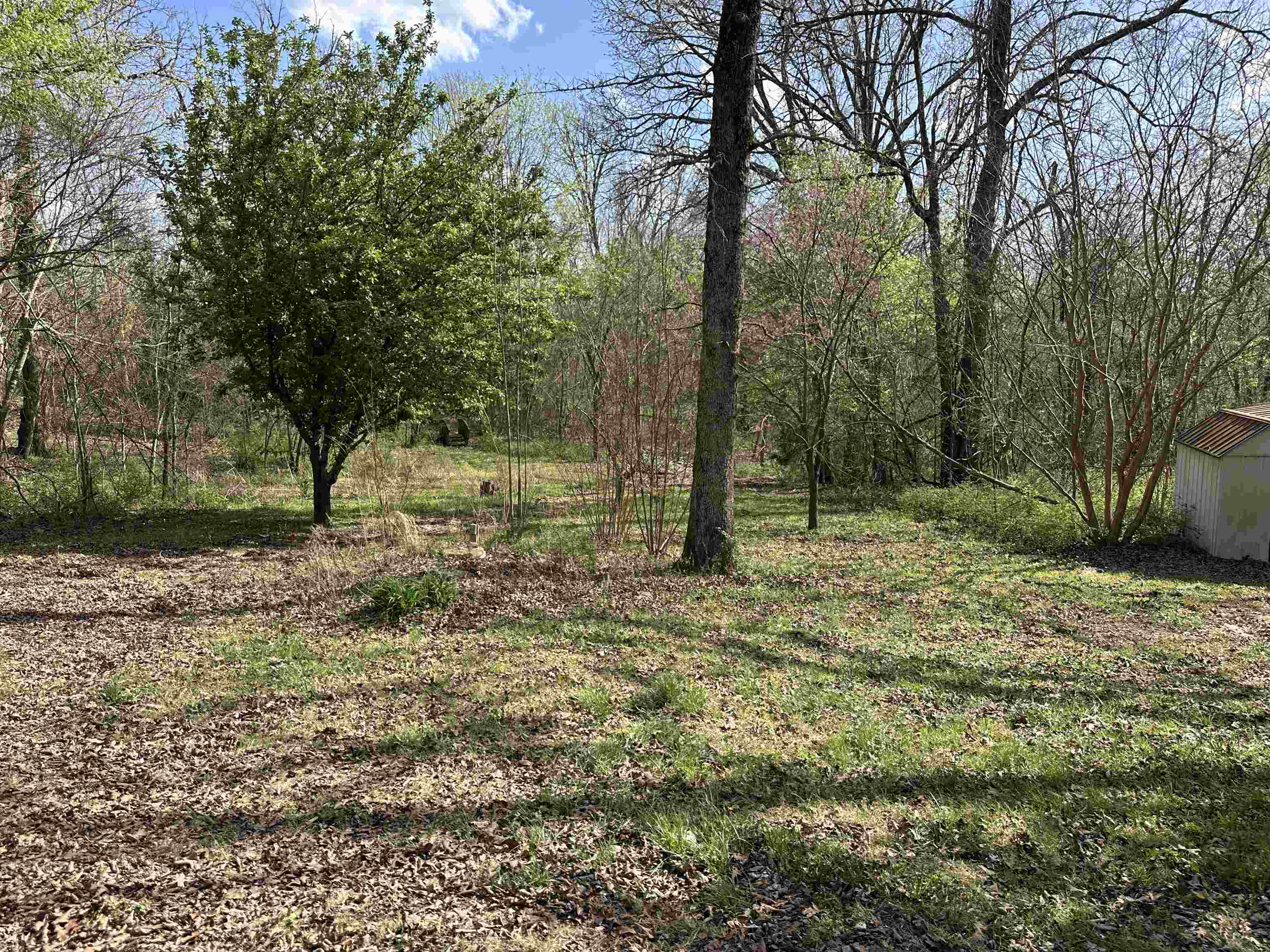 4534  CR 27  Mountain Home, AR
