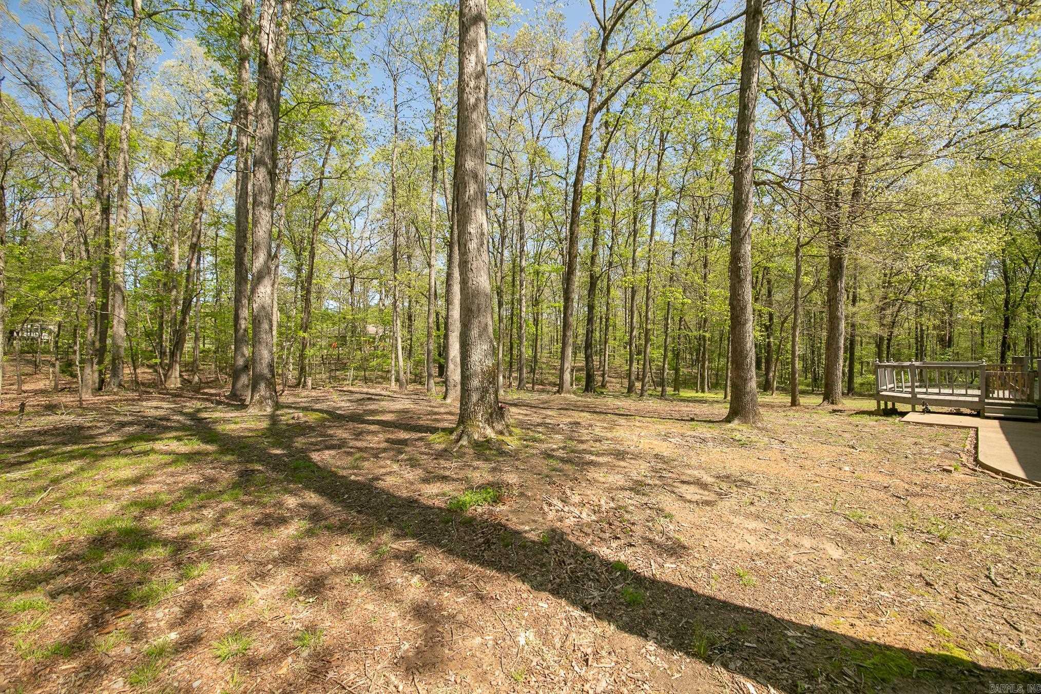 90  Windsong  Cabot, AR