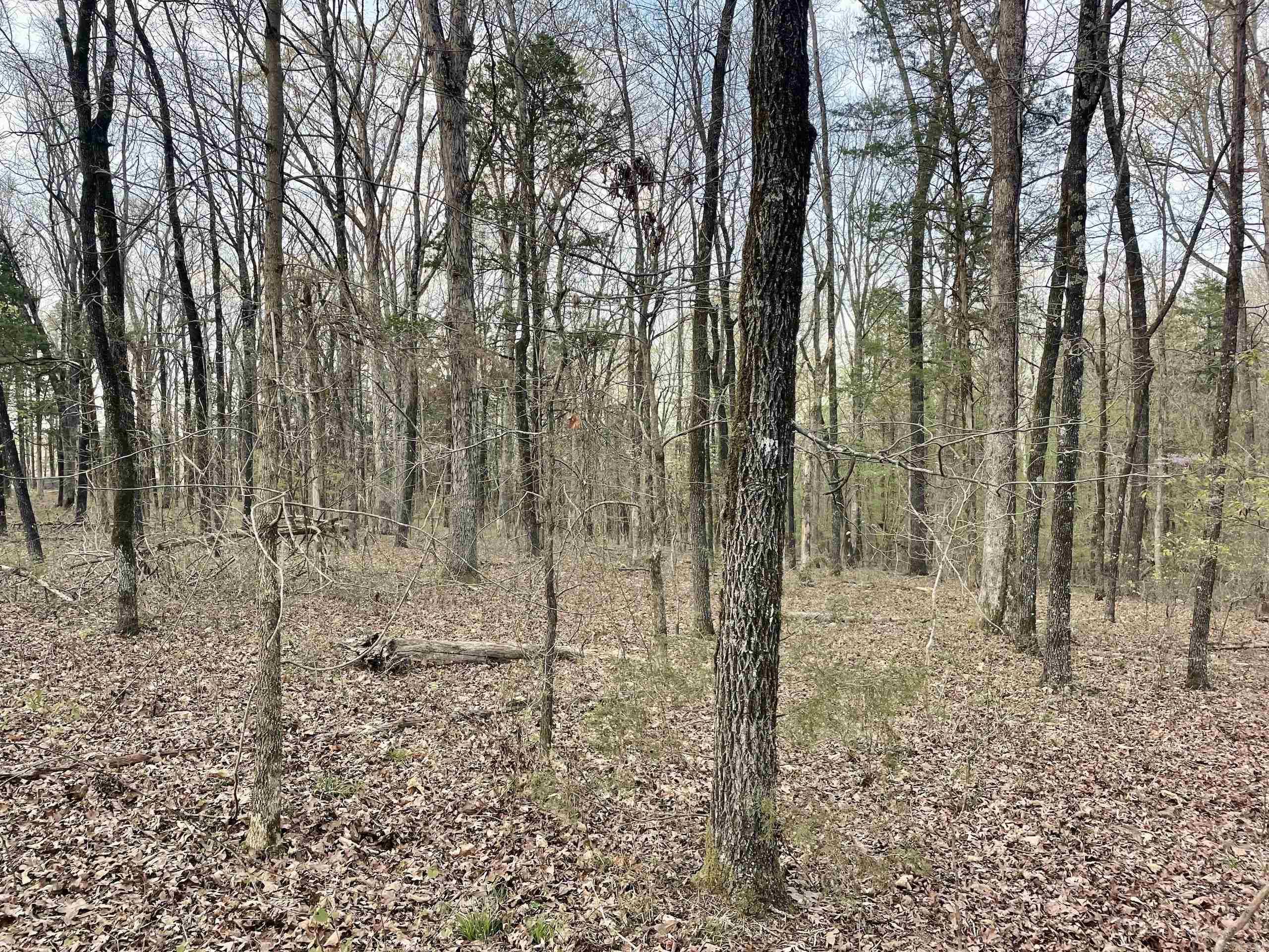 000  Trout Way  Judsonia, AR